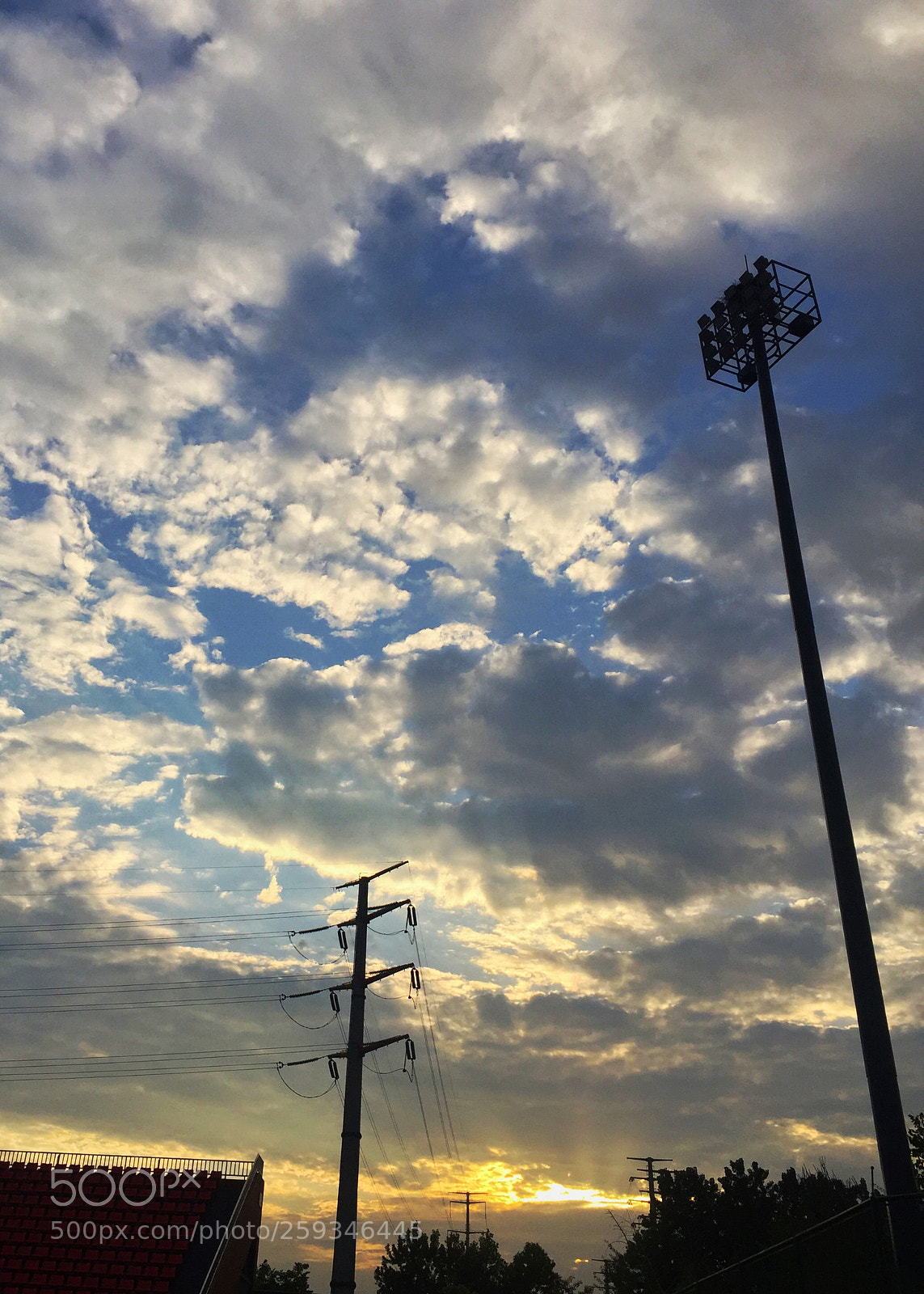 Apple iPhone 6 sample photo. Untitled photography