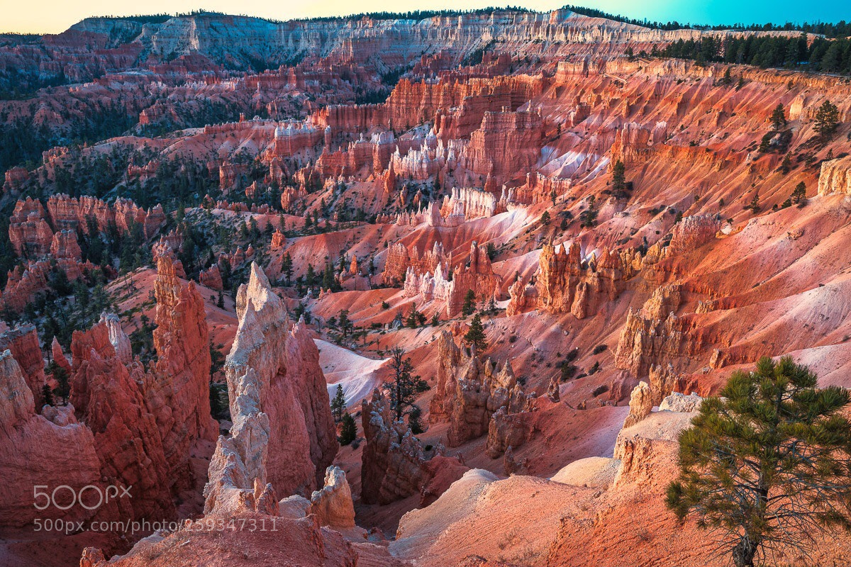 Nikon D850 sample photo. Sunrise point  photography