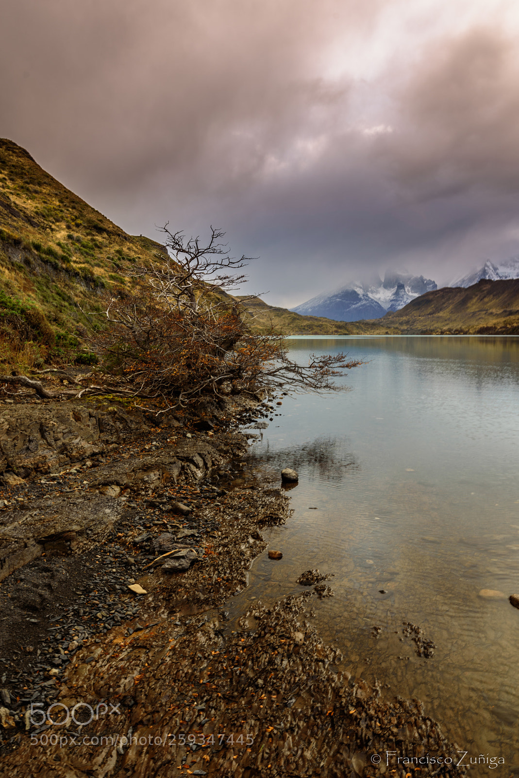 Nikon D750 sample photo. Lago pehoe.torres del paine,chile photography