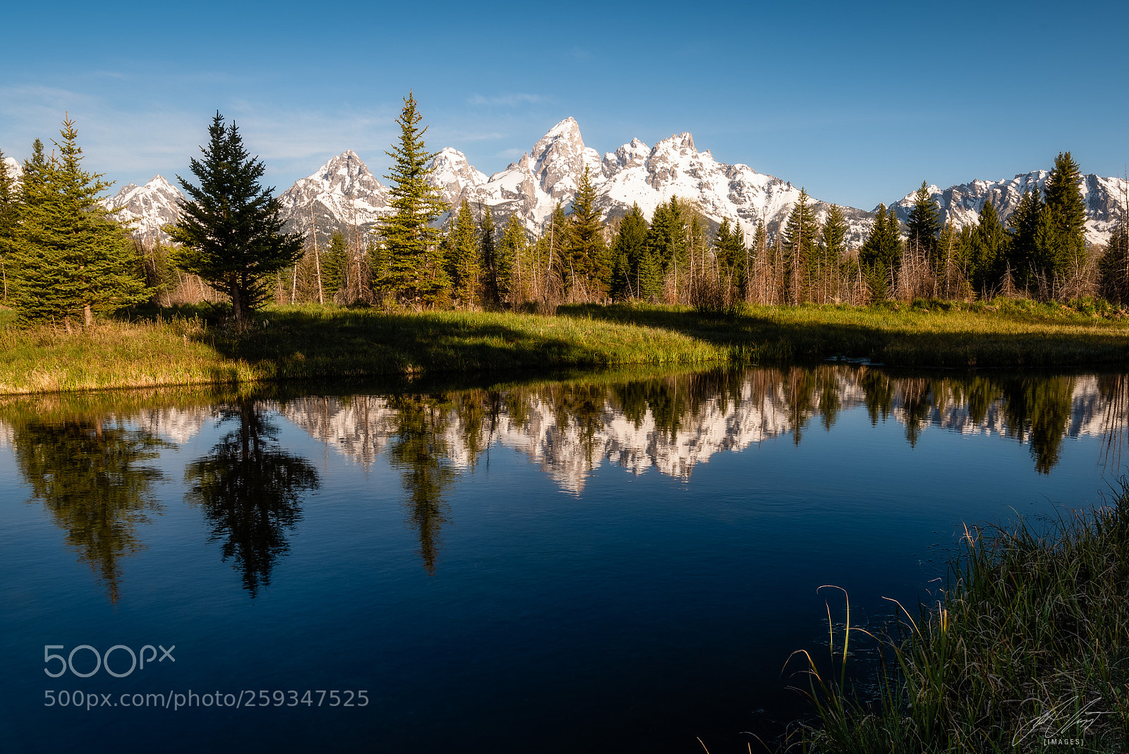 Nikon D750 sample photo. Schwabacher's landing photography