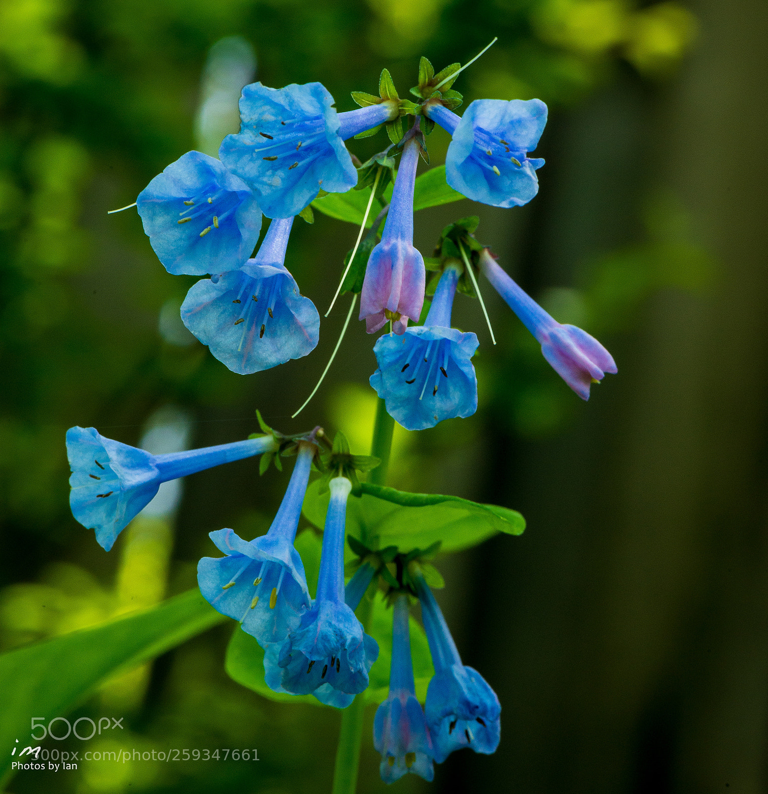 Nikon D610 sample photo. A great time of photography