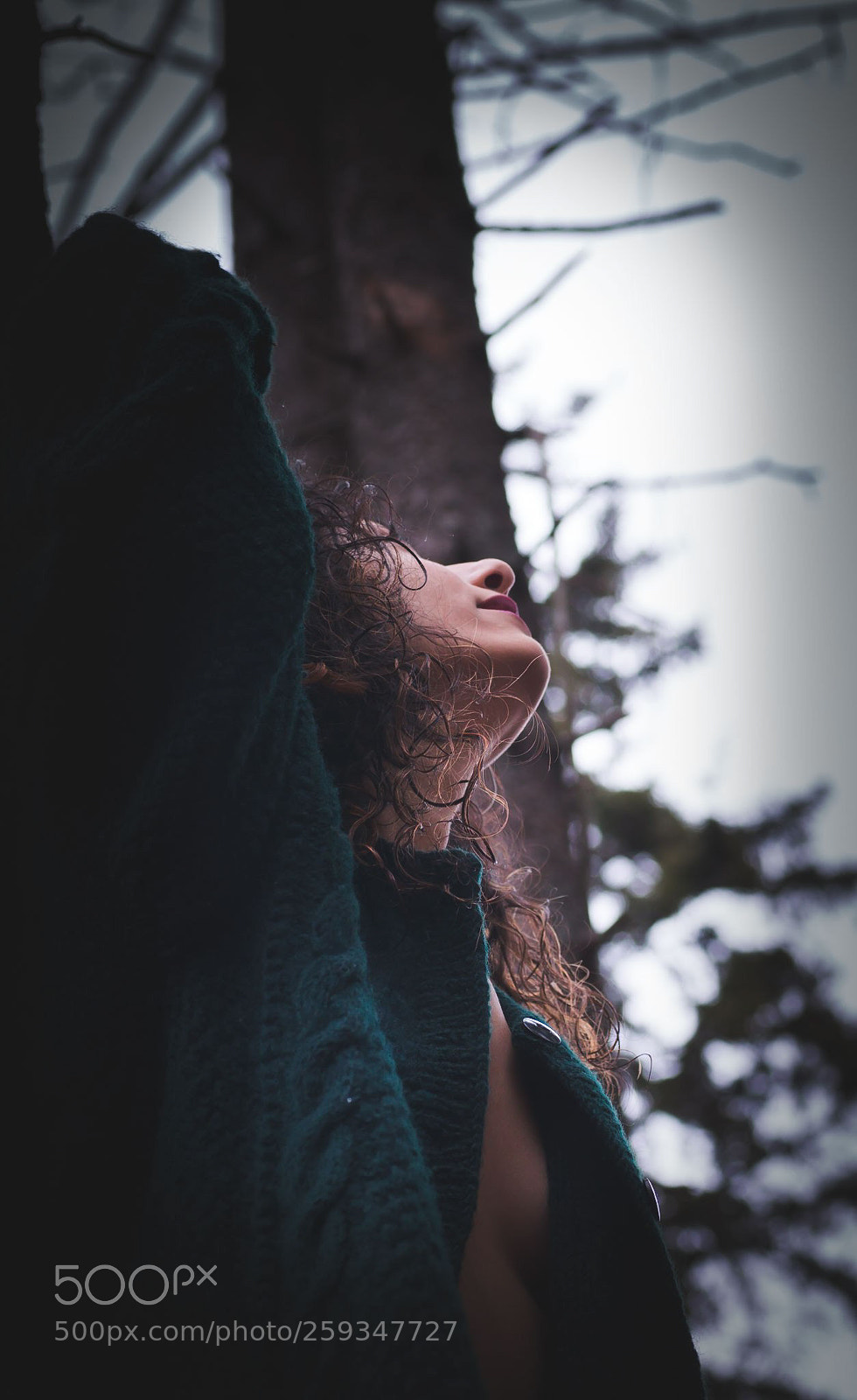 Canon EOS 70D sample photo. Untitled photography