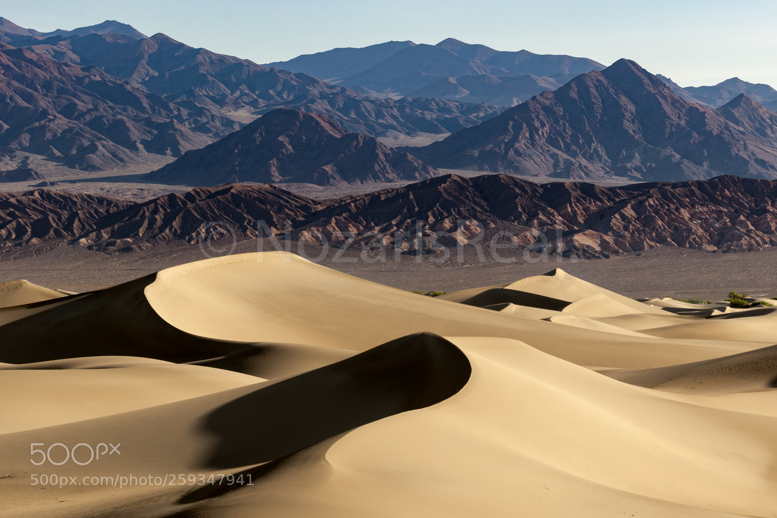 Canon EOS 7D Mark II sample photo. The shadow of the photography