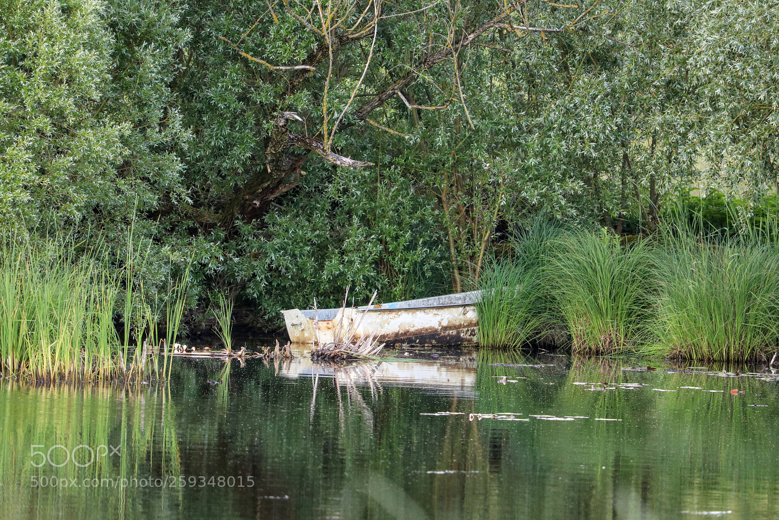 Canon EOS 80D sample photo. Das verlassene boot photography
