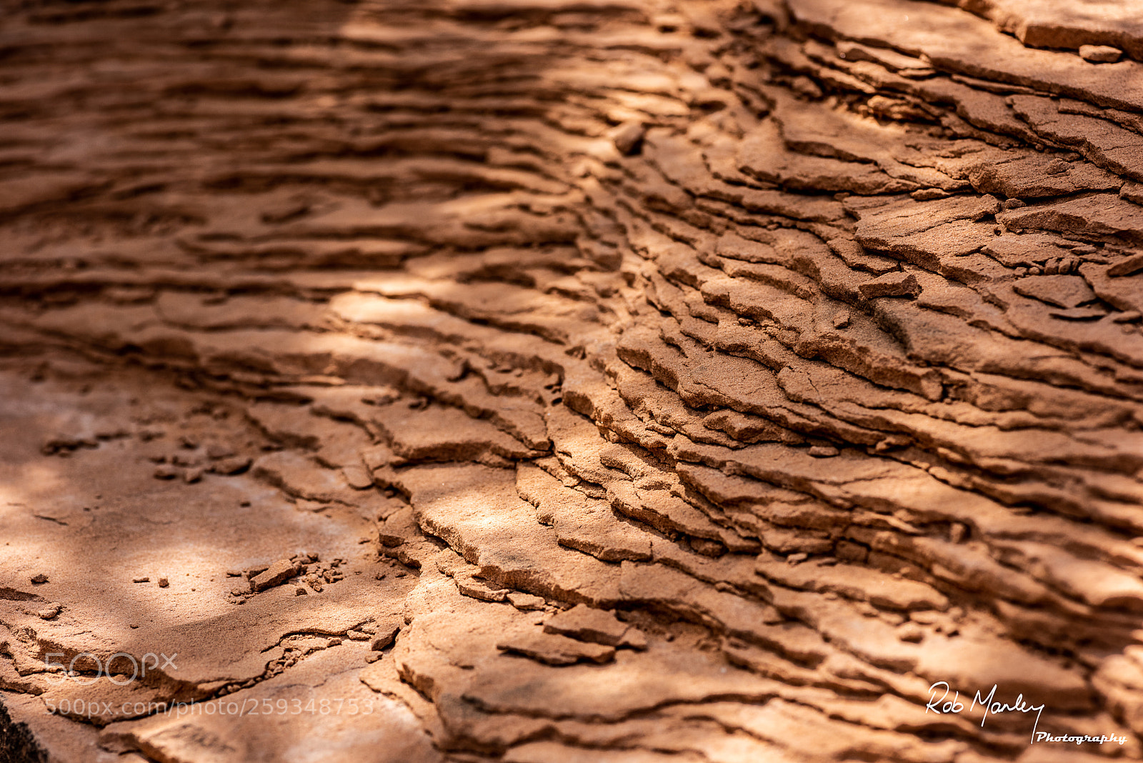 Nikon D810 sample photo. Crumble photography