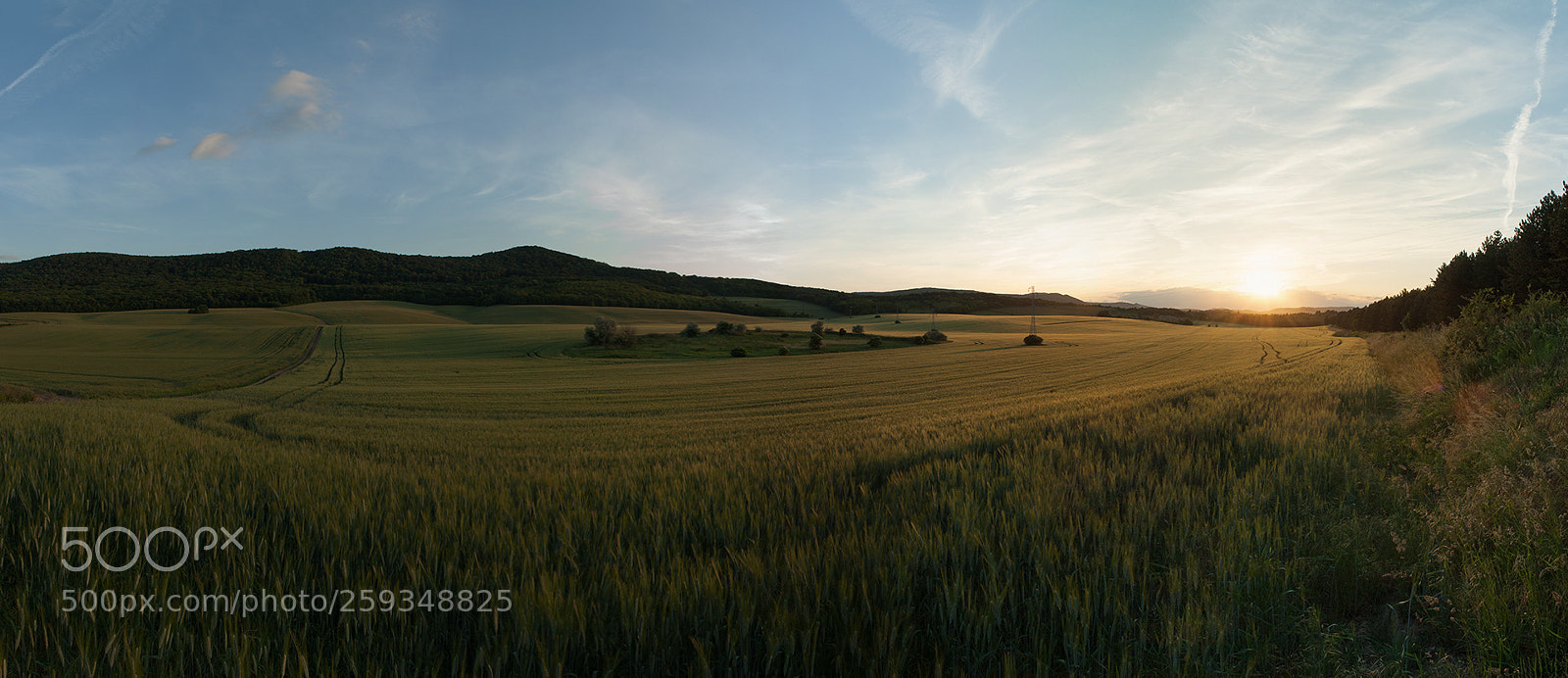 Nikon D200 sample photo. Sunset pano ii. photography