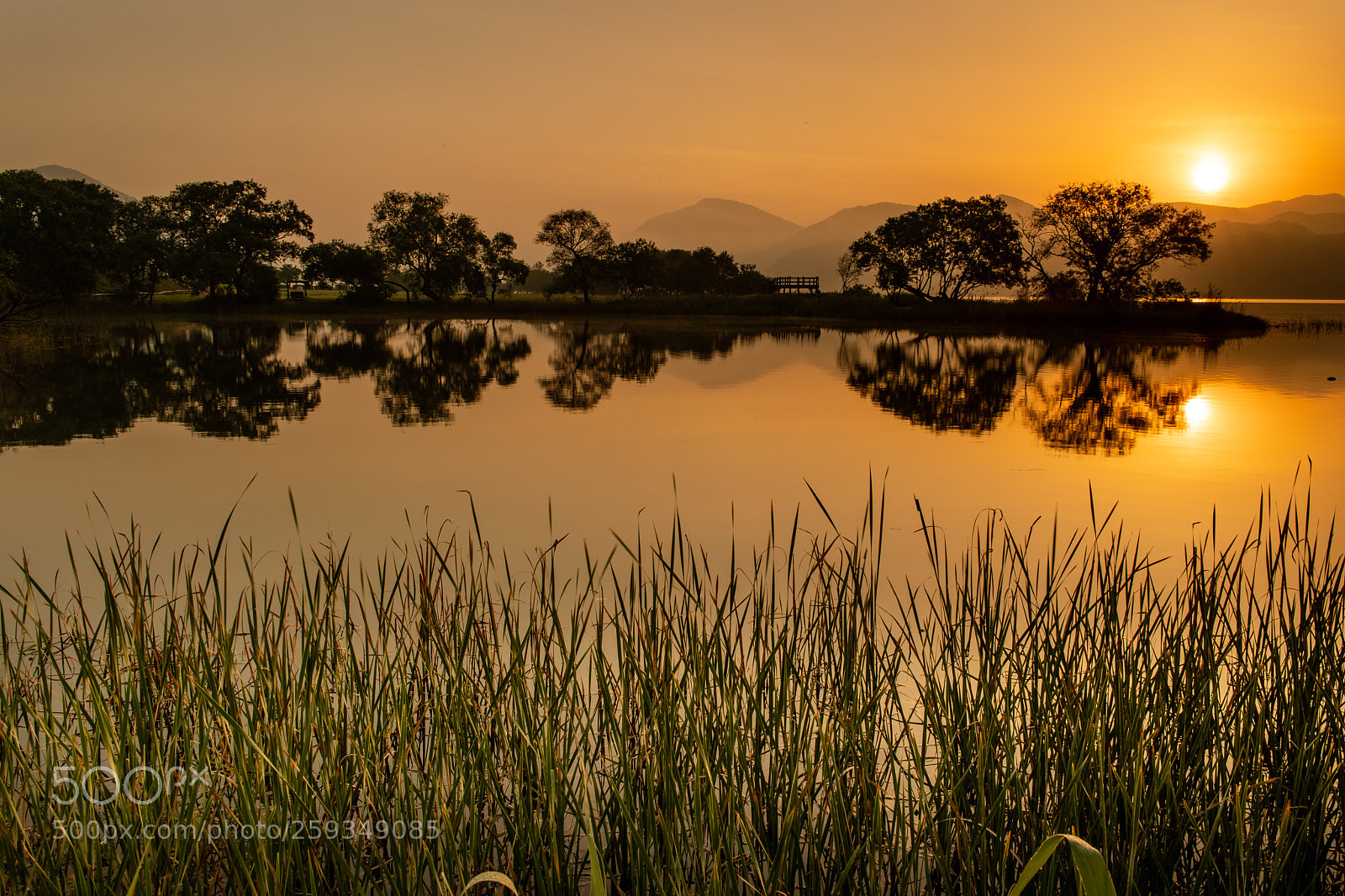 Nikon D5 sample photo. Sunrise photography