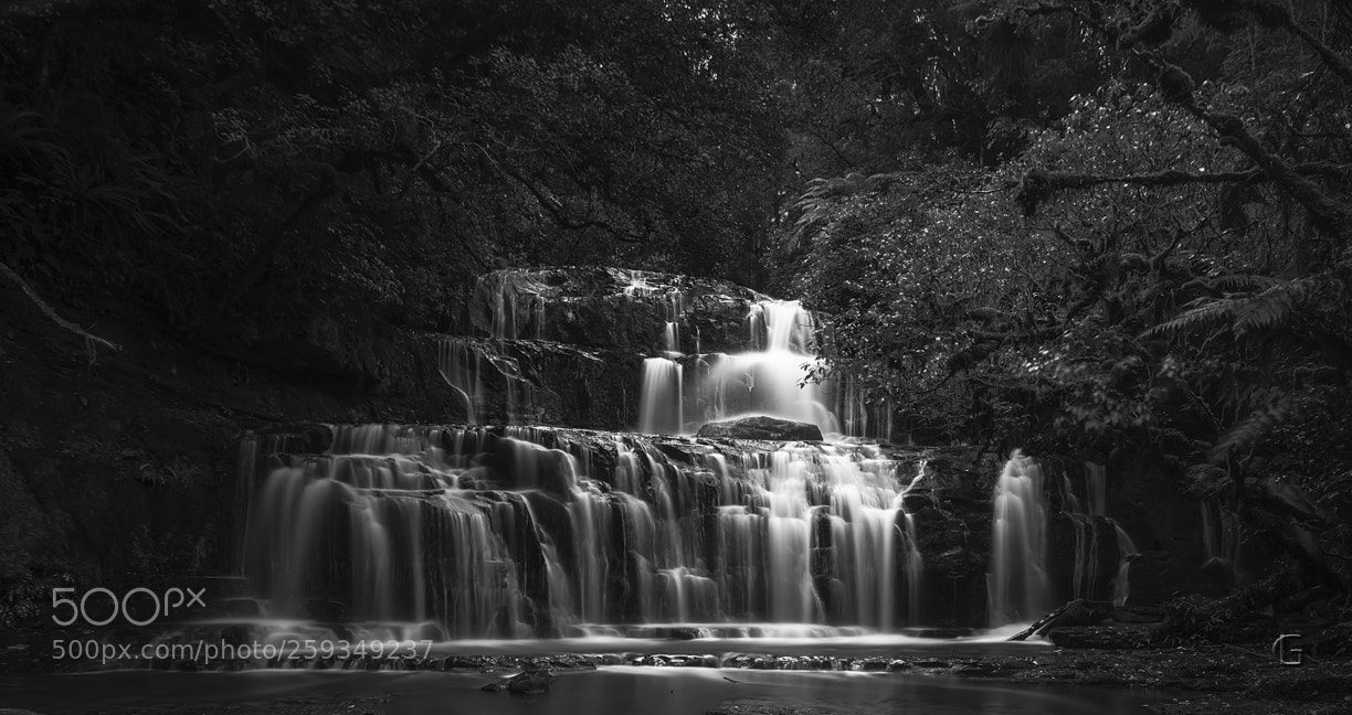 Nikon D5500 sample photo. Purakaunui falls photography