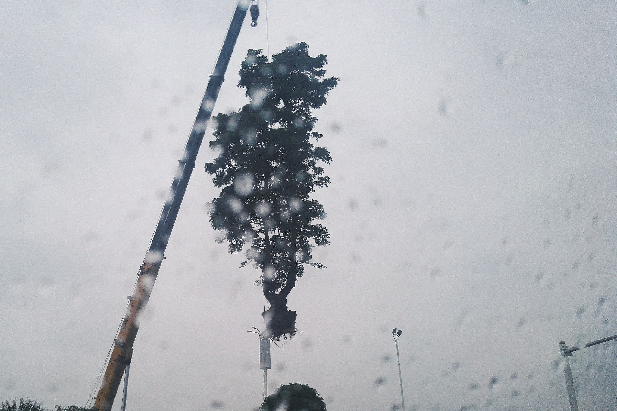 HUAWEI Honor 7 sample photo. Rainy day photography