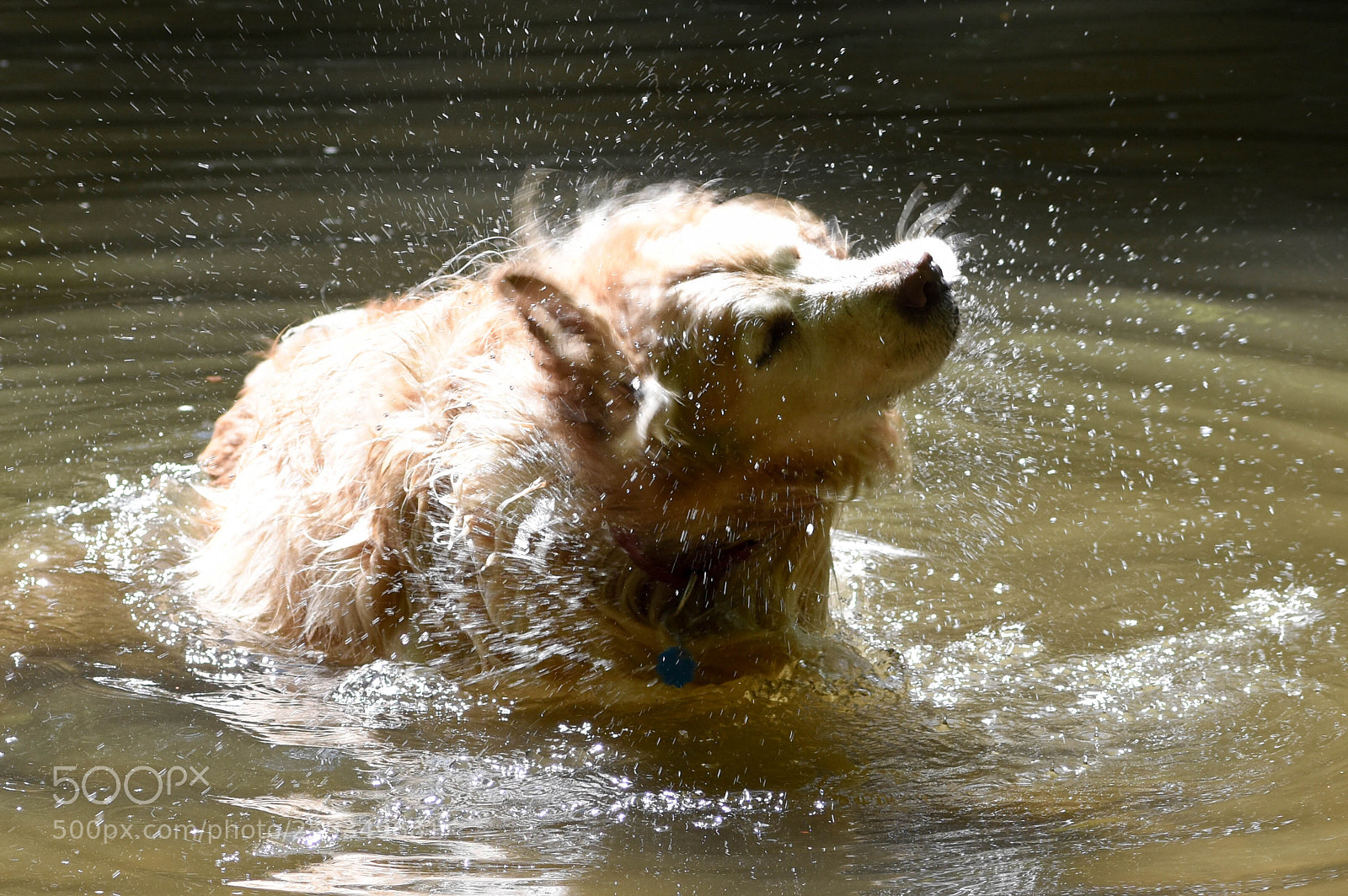 Nikon D3400 sample photo. Shake photography