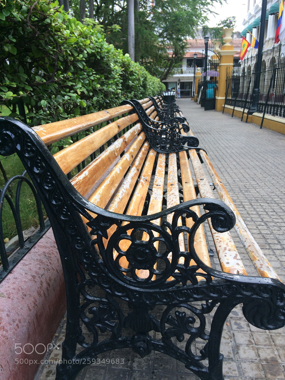 Apple iPhone 5s sample photo. Untitled photography