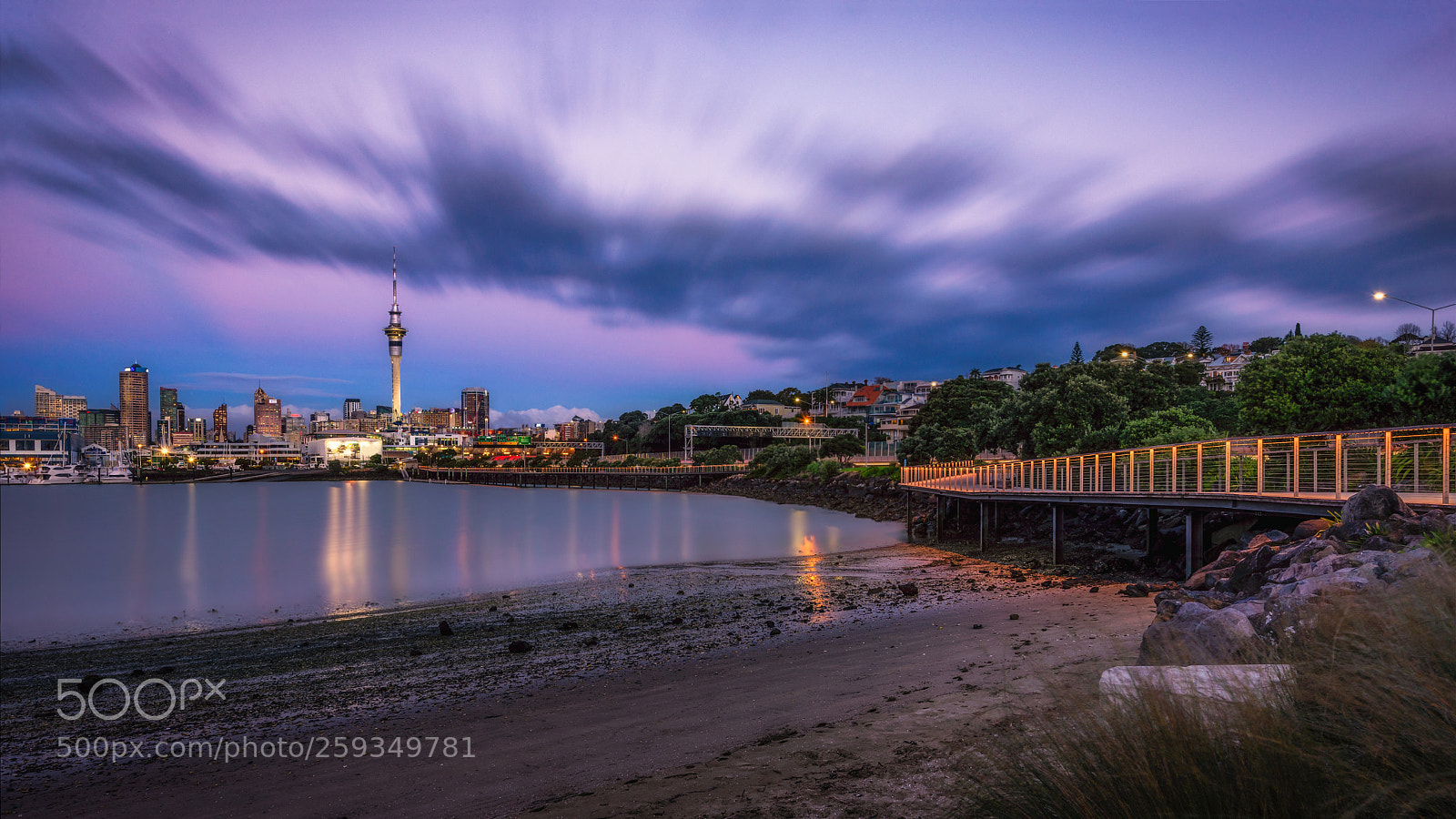 Nikon D610 sample photo. Auckland city photography