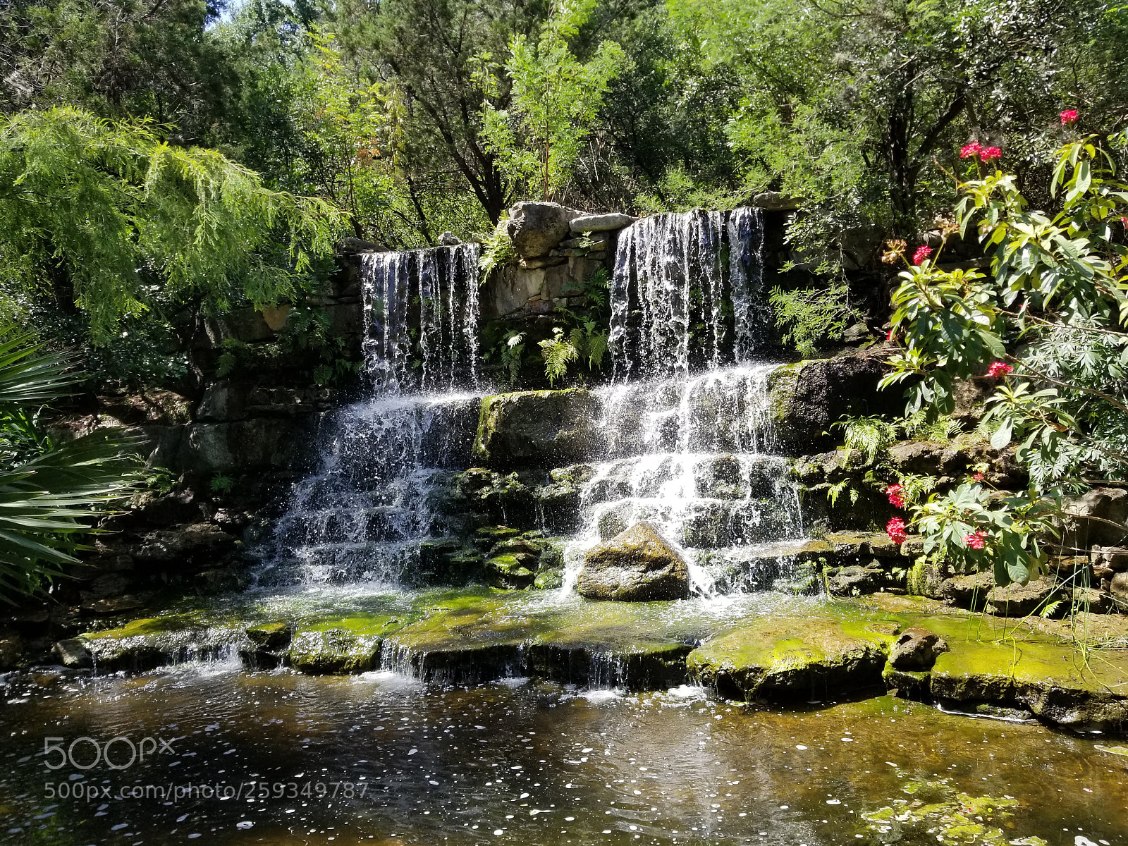 Samsung Galaxy S8+ sample photo. Untitled photography
