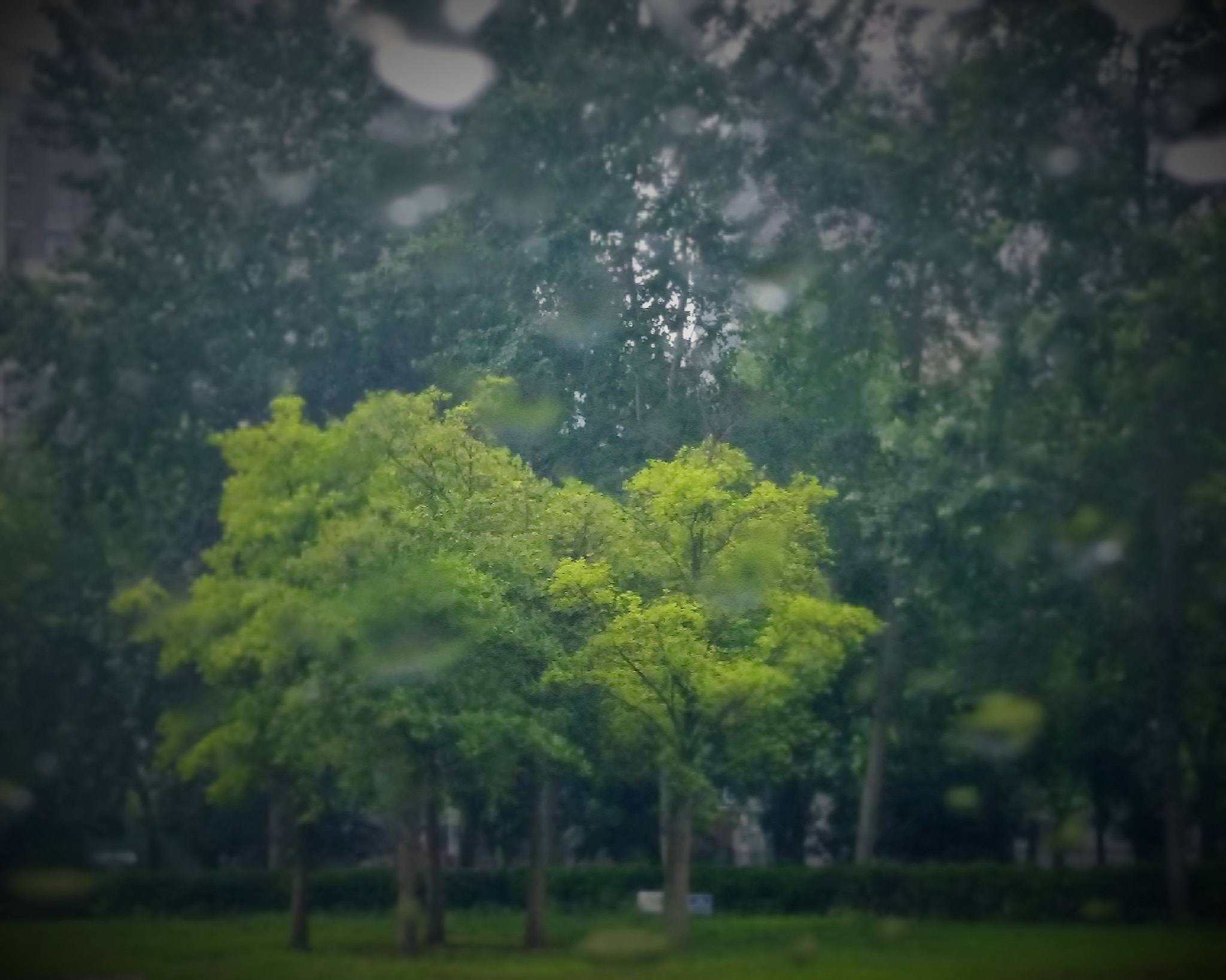 HUAWEI nova sample photo