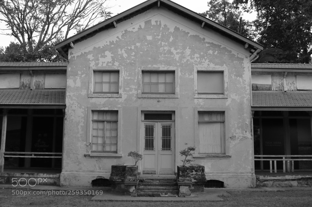 Canon EOS 1300D (EOS Rebel T6 / EOS Kiss X80) sample photo. Old sanatorium photography