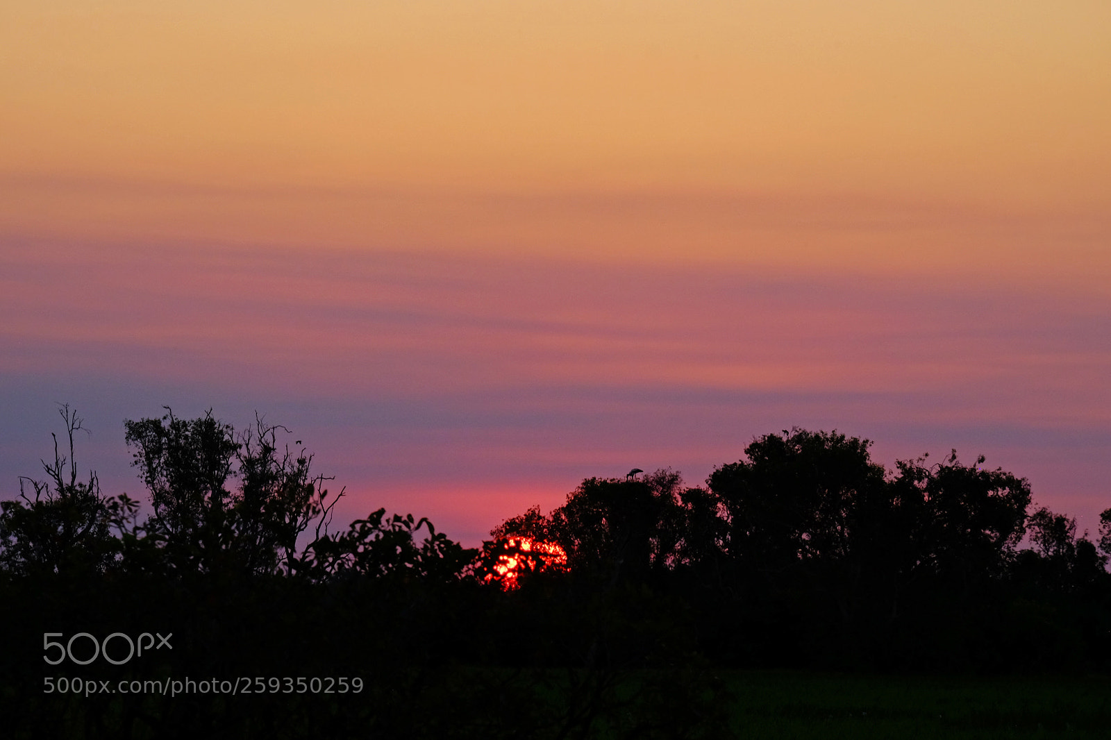 Fujifilm X-T1 sample photo. Kakadu sunset photography
