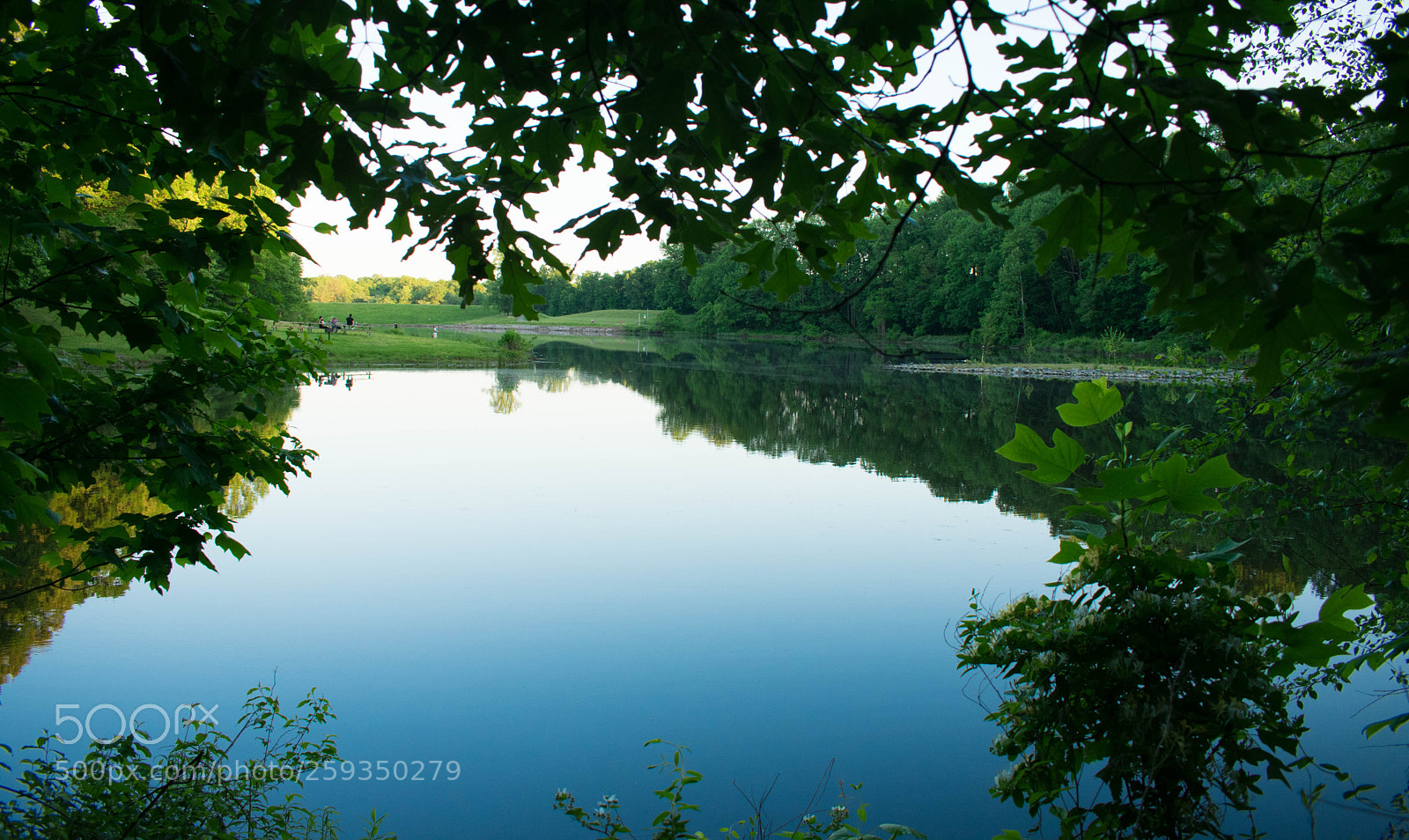 Nikon D3400 sample photo. Royal lake photography