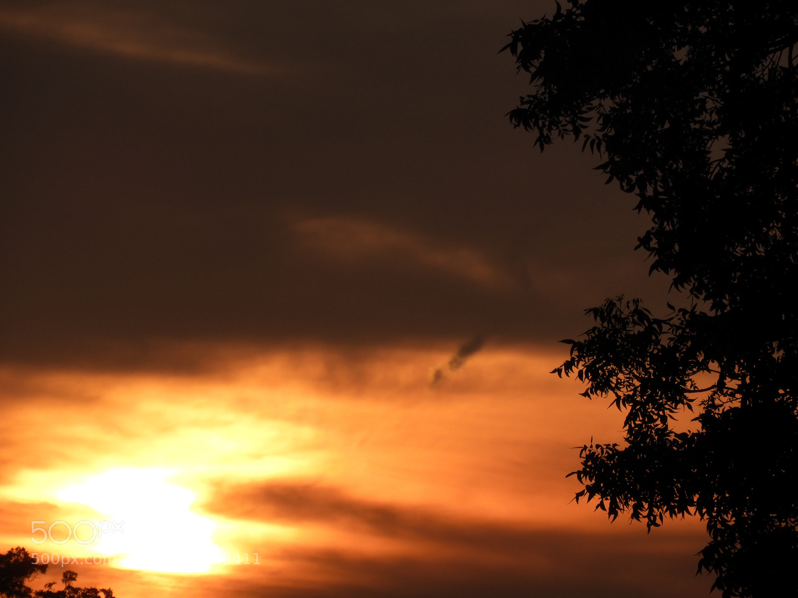 Nikon Coolpix B700 sample photo. Sunset by the pecan photography