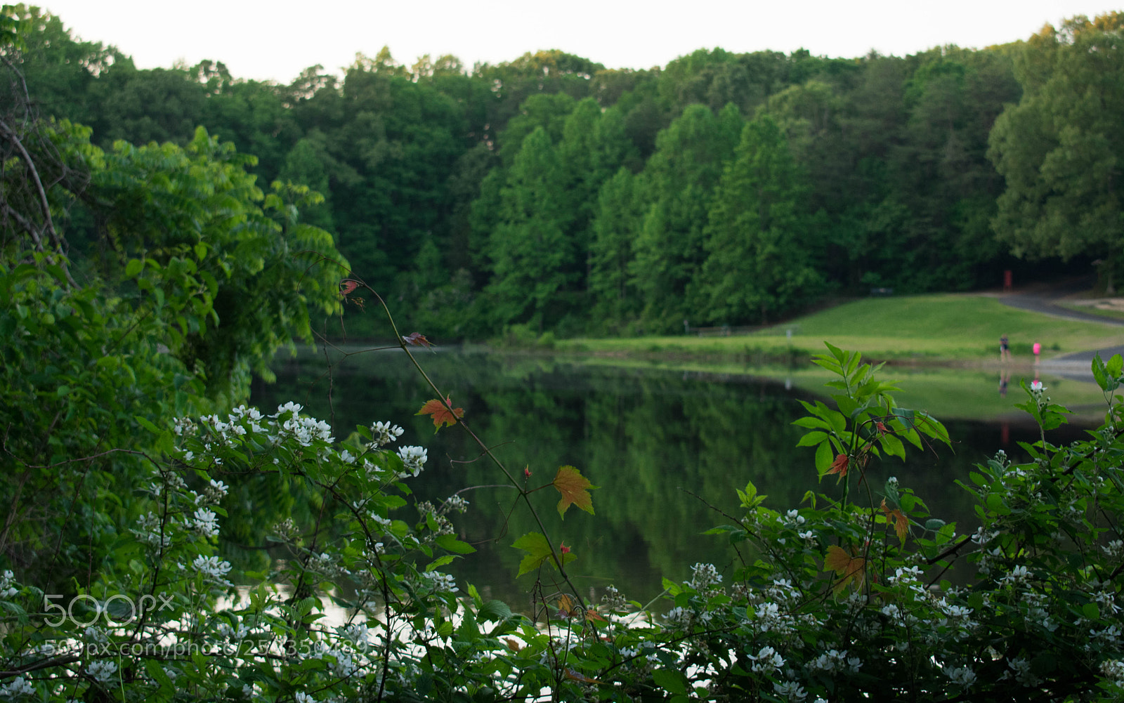 Nikon D3400 sample photo. Royal lake photography