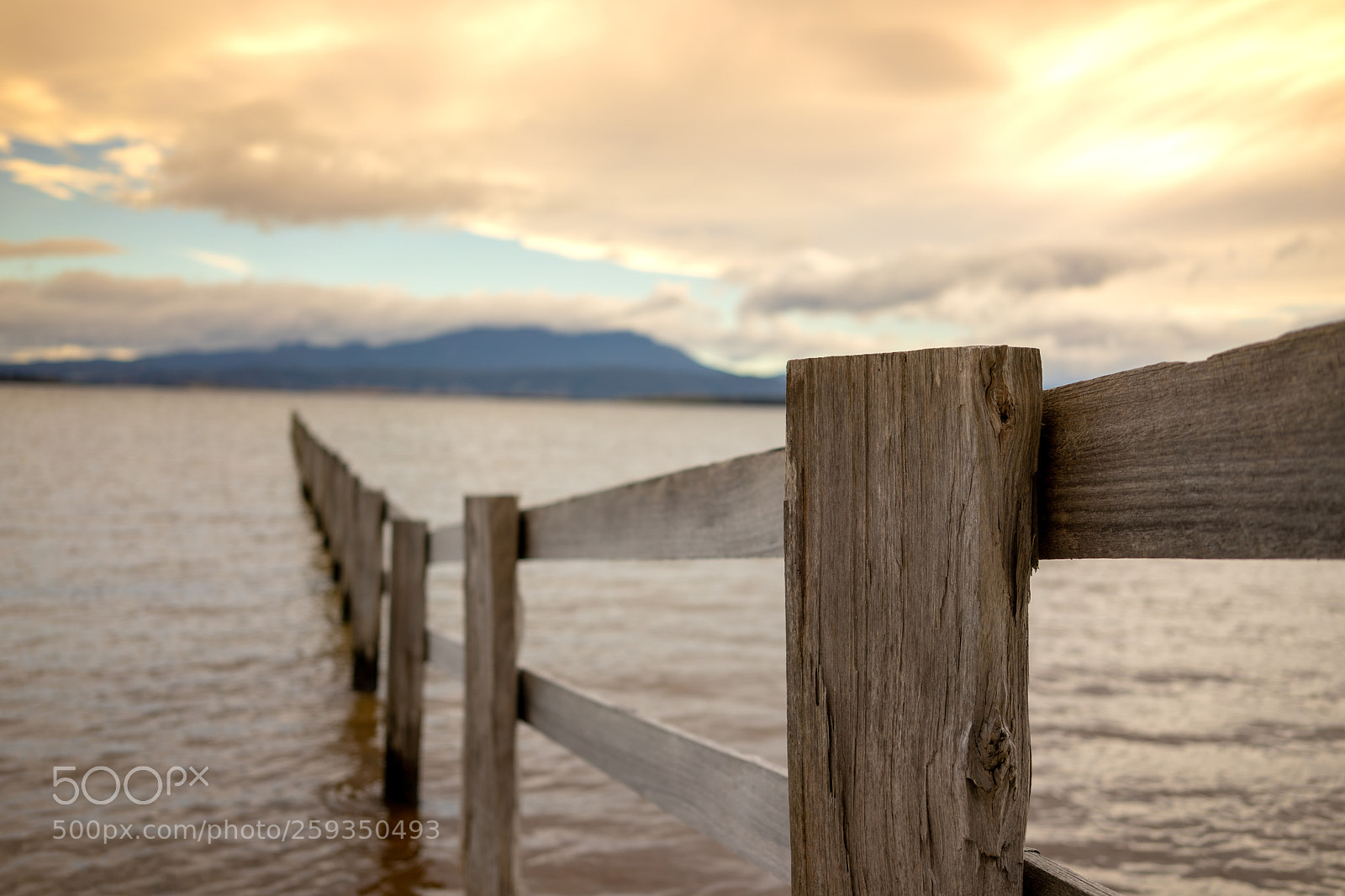 Sony a9 sample photo. Fence photography