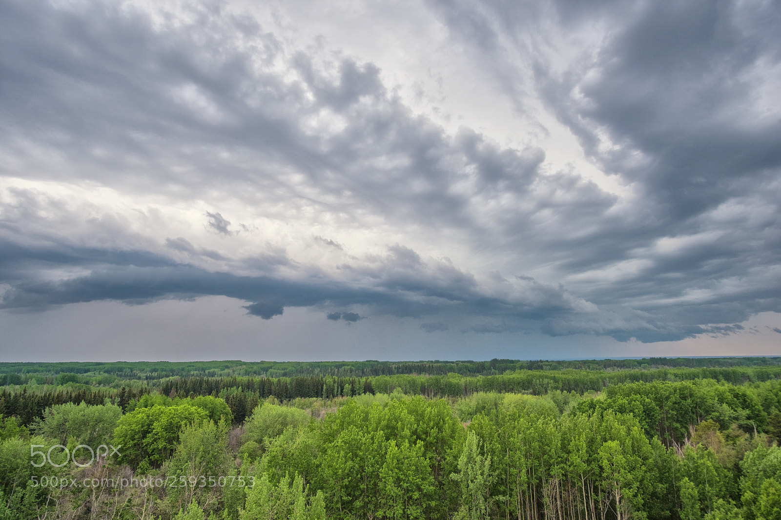 Fujifilm X-T2 sample photo. Spring storm photography
