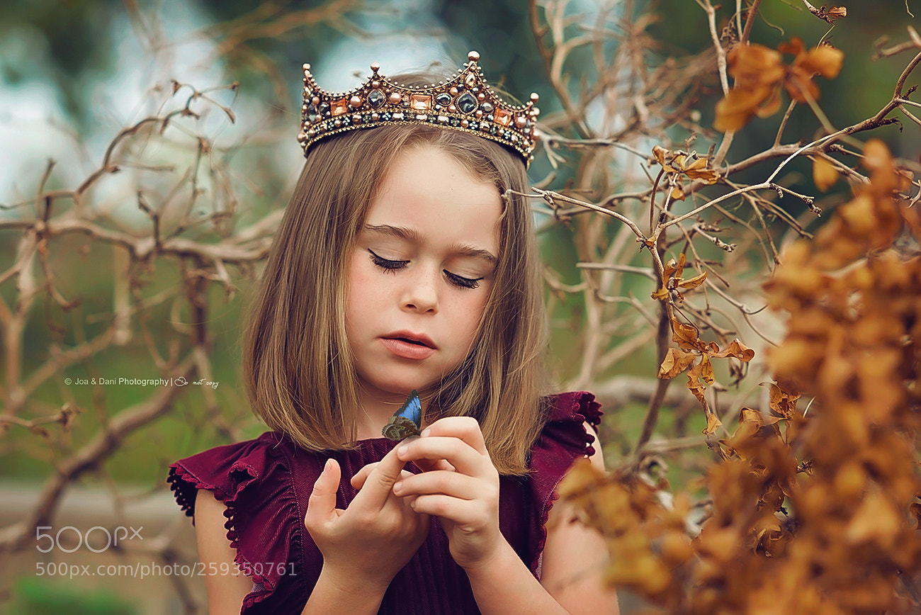 Nikon D750 sample photo. Queen c photography
