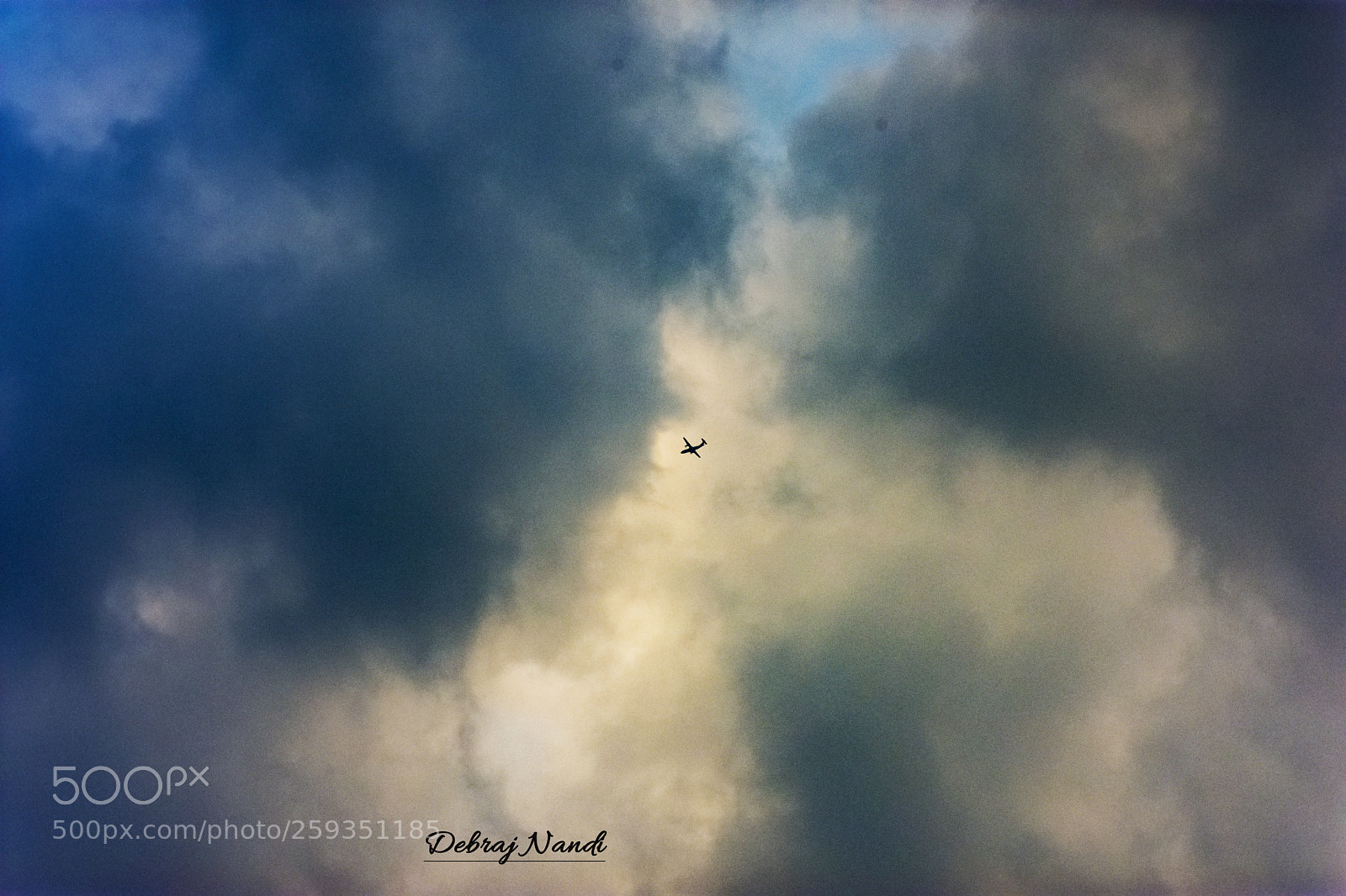 Nikon D7200 sample photo. Fly high photography