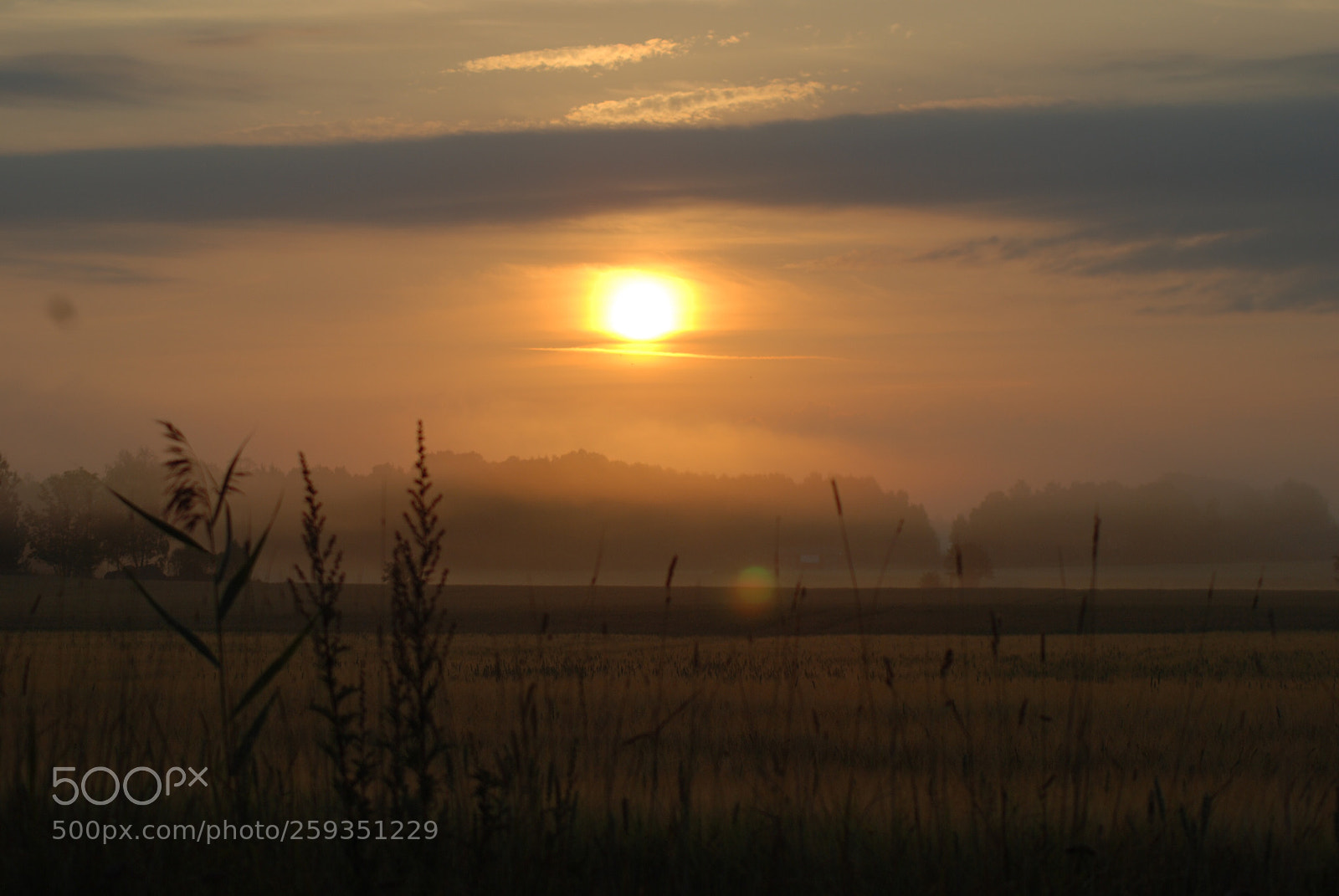 Nikon D80 sample photo. Good morning photography