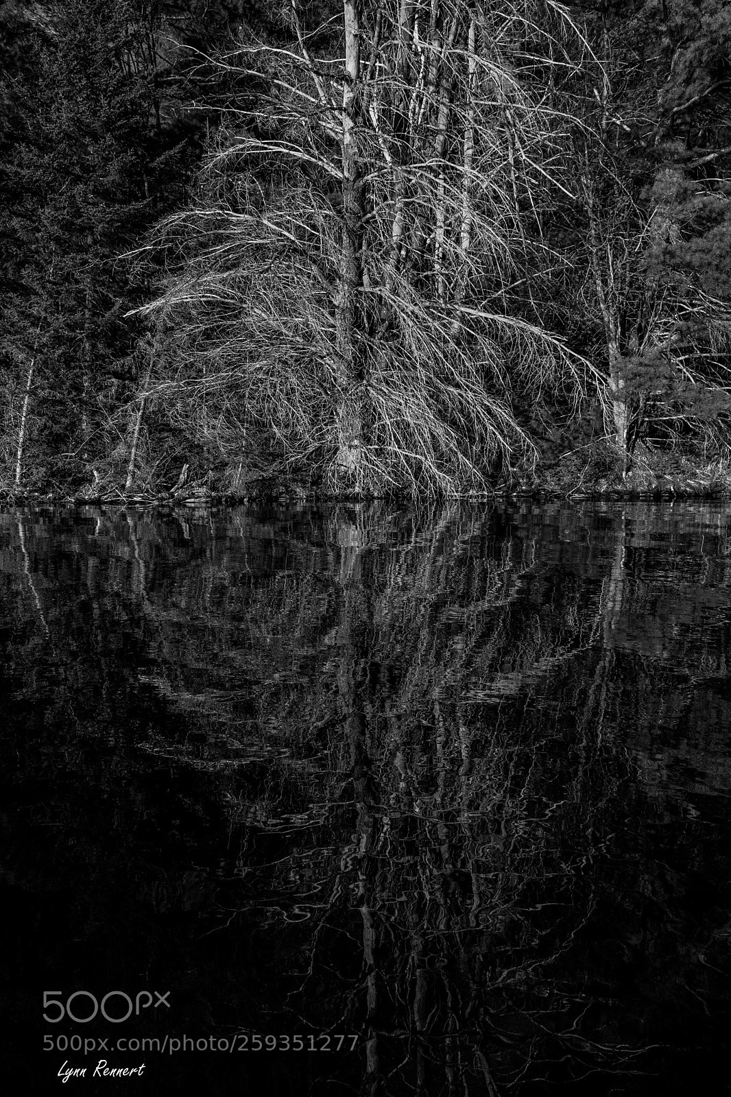 Sony ILCA-77M2 sample photo. Reflected photography