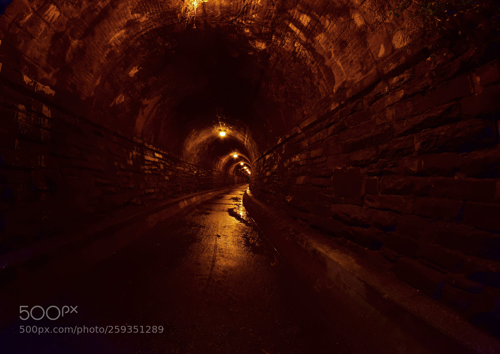 Nikon D5300 sample photo. Tunnel vision photography