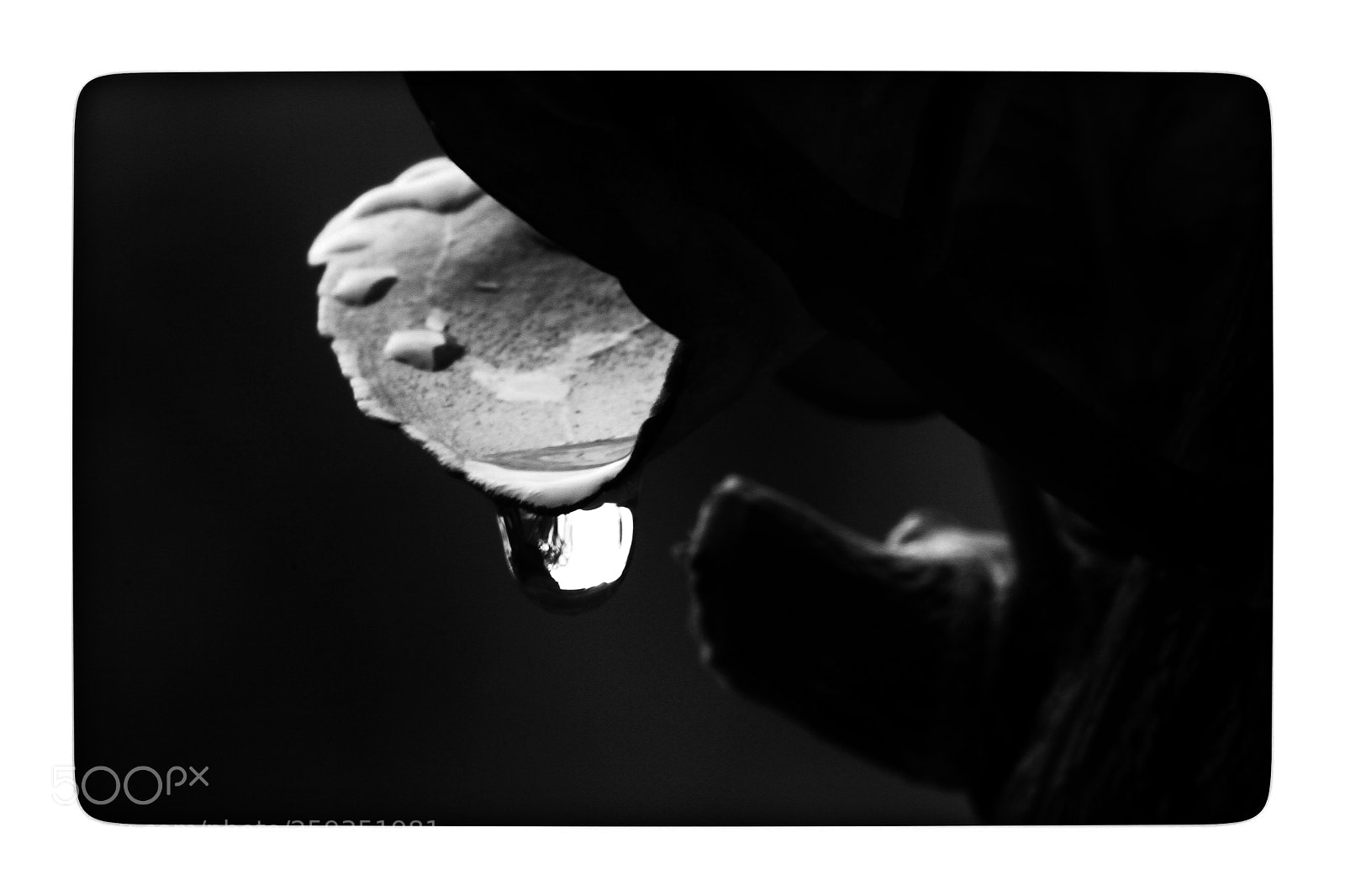Canon EOS 7D sample photo. Leave and waterdrop photography