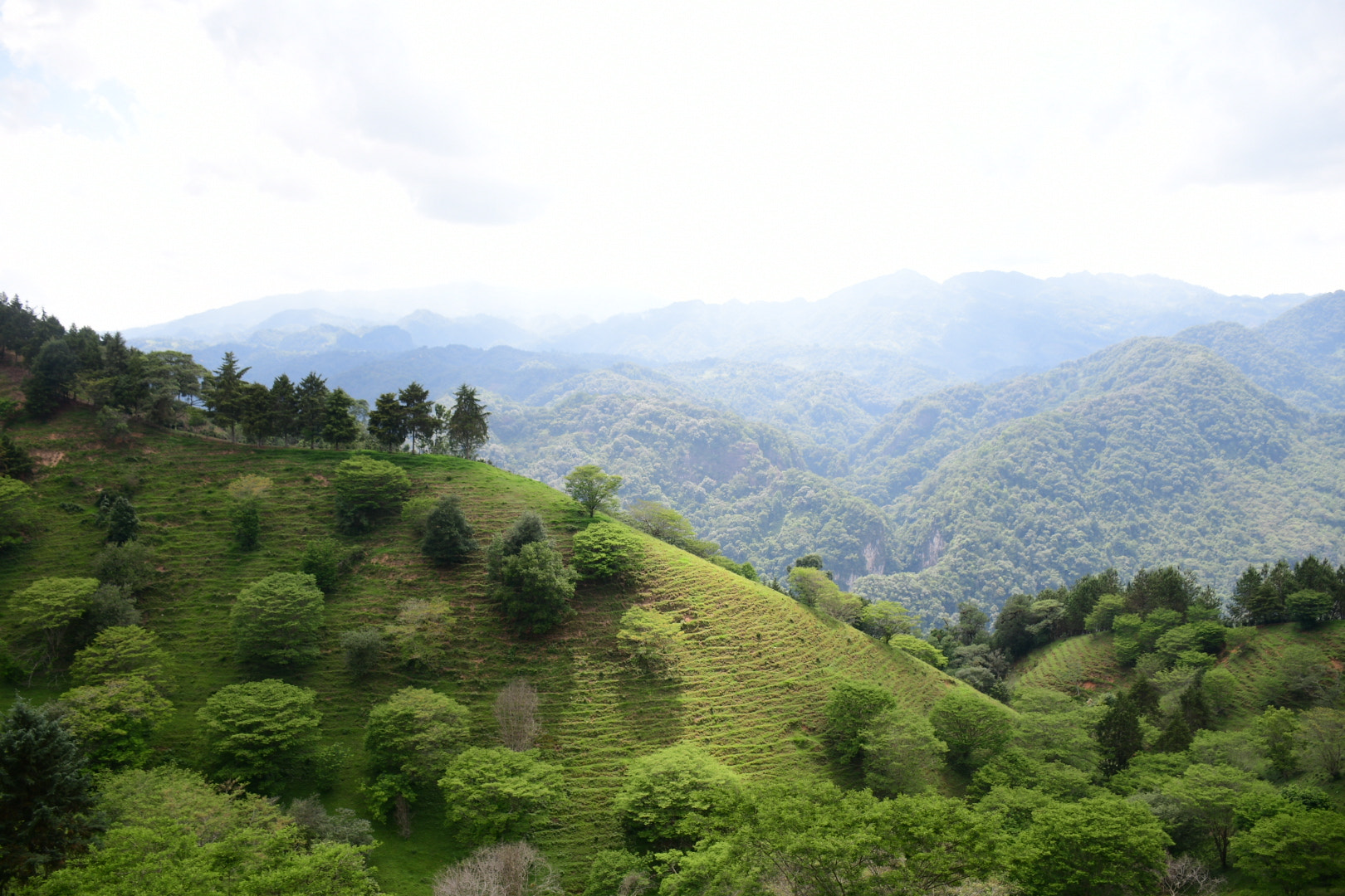 Nikon D7500 sample photo. Cerros. photography