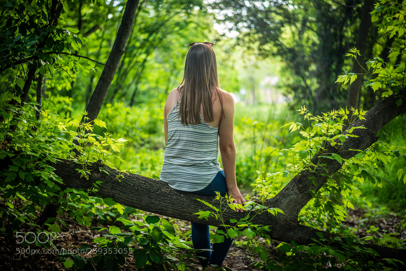 Nikon D800E sample photo. Lost and found  photography