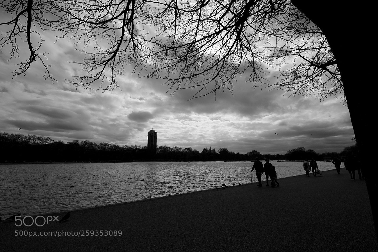 Fujifilm X-T2 sample photo. Untitled photography