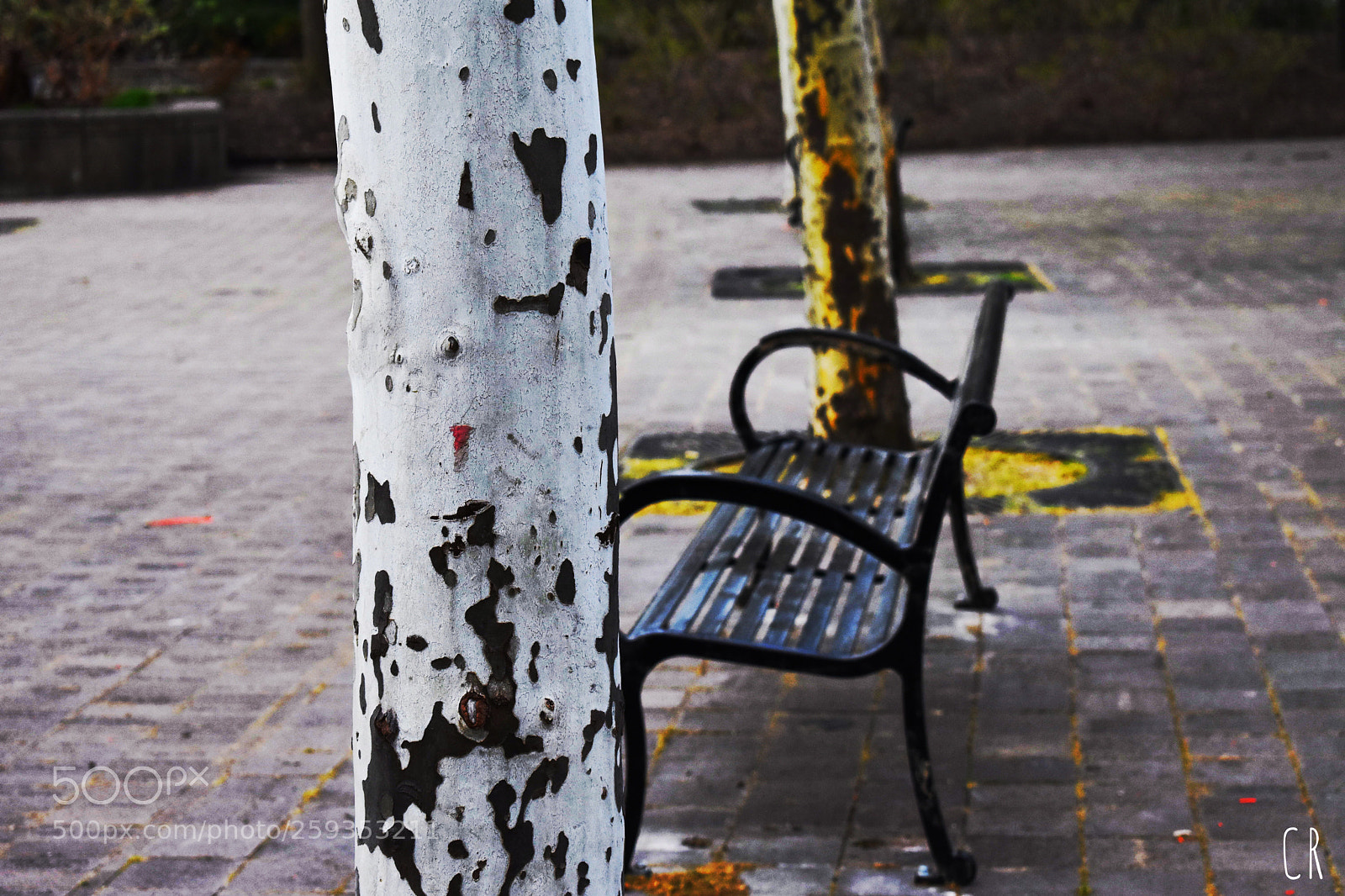 Nikon D3400 sample photo. Walking downtown photography