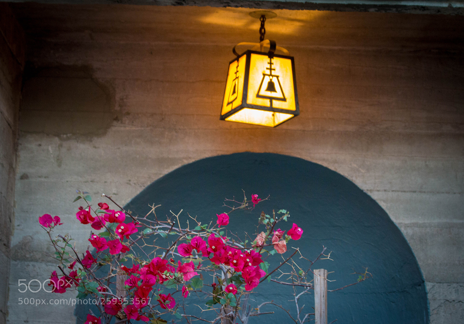 Canon EOS 70D sample photo. Blooming hall photography