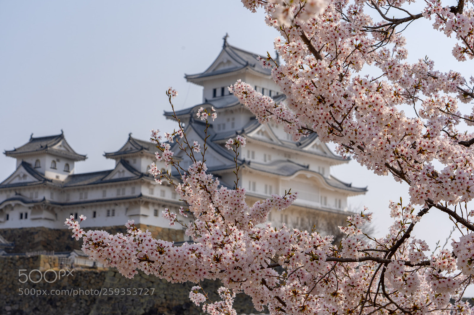 Sony a7 III sample photo. Himeji castle photography