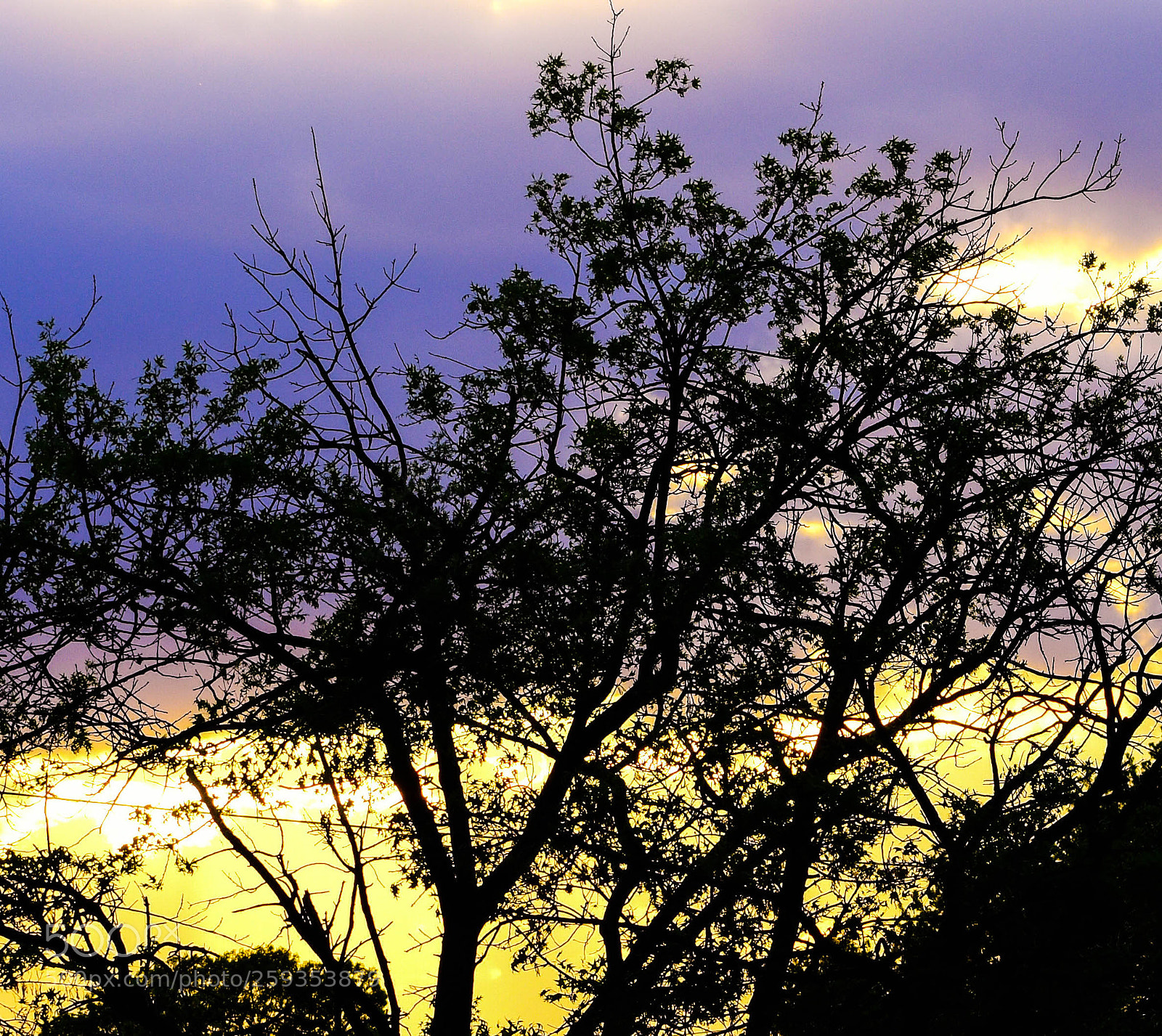 Nikon D3400 sample photo. Sunset in spring photography