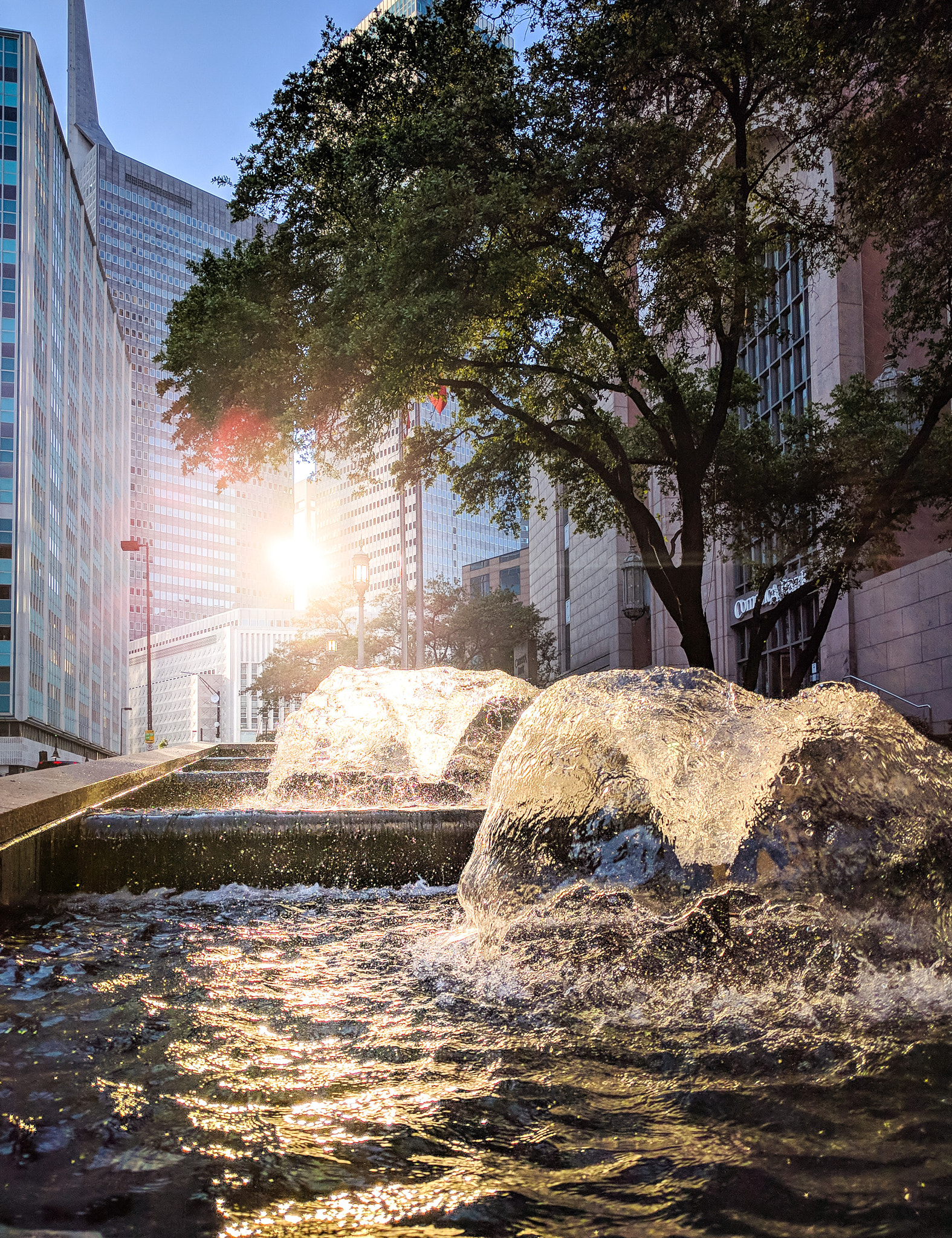 Google Nexus 6P sample photo. Dallas, texas photography