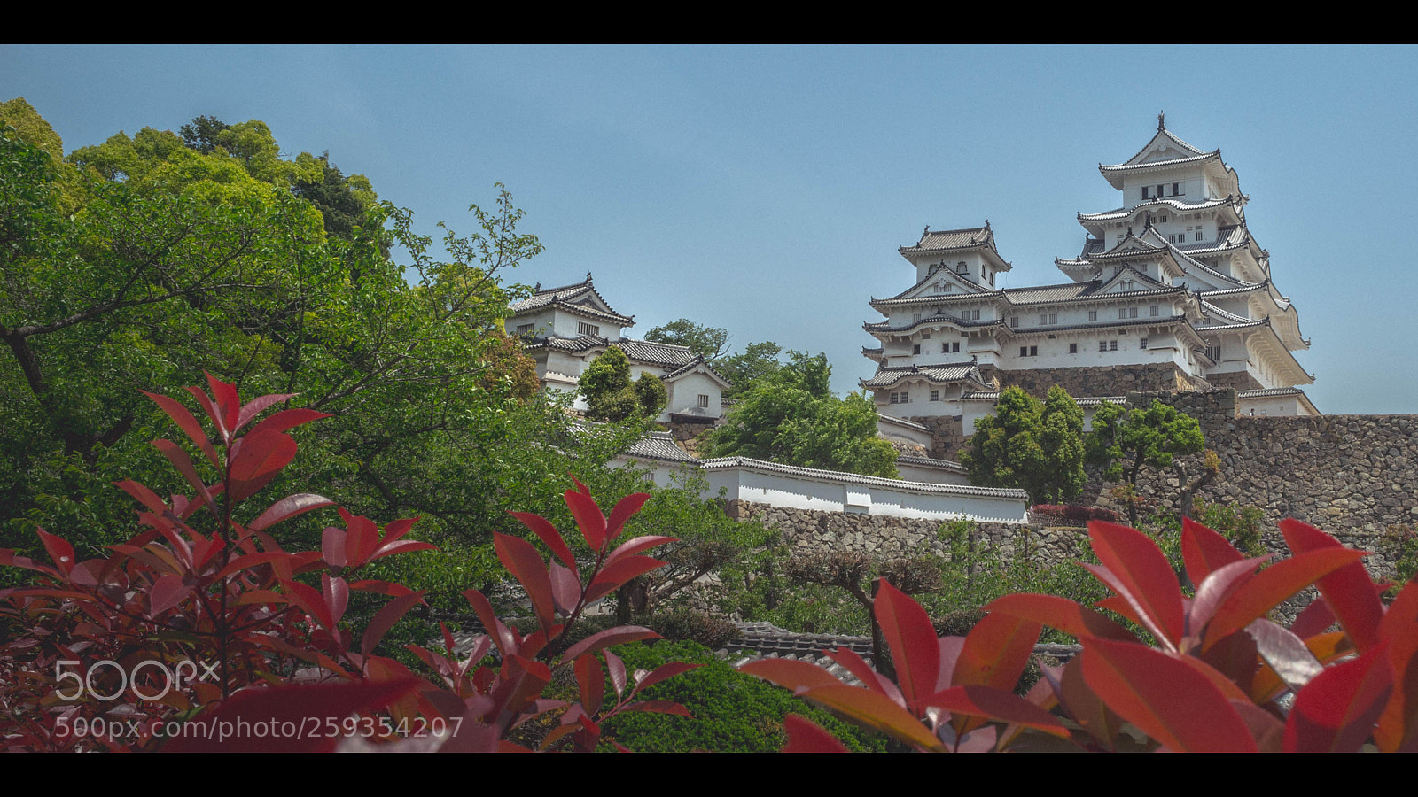 Nikon Df sample photo. Himeji castle photography