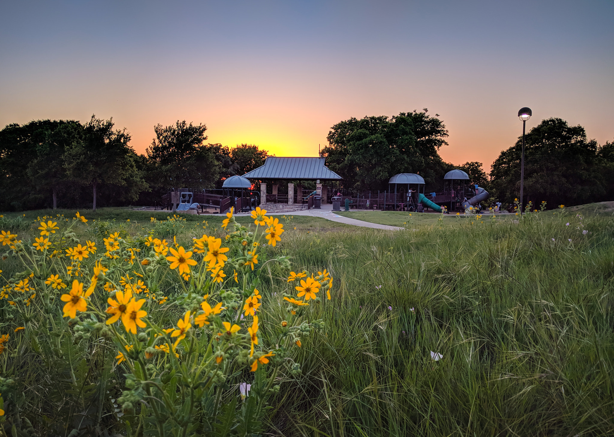Google Nexus 6P sample photo. Plano, texas photography