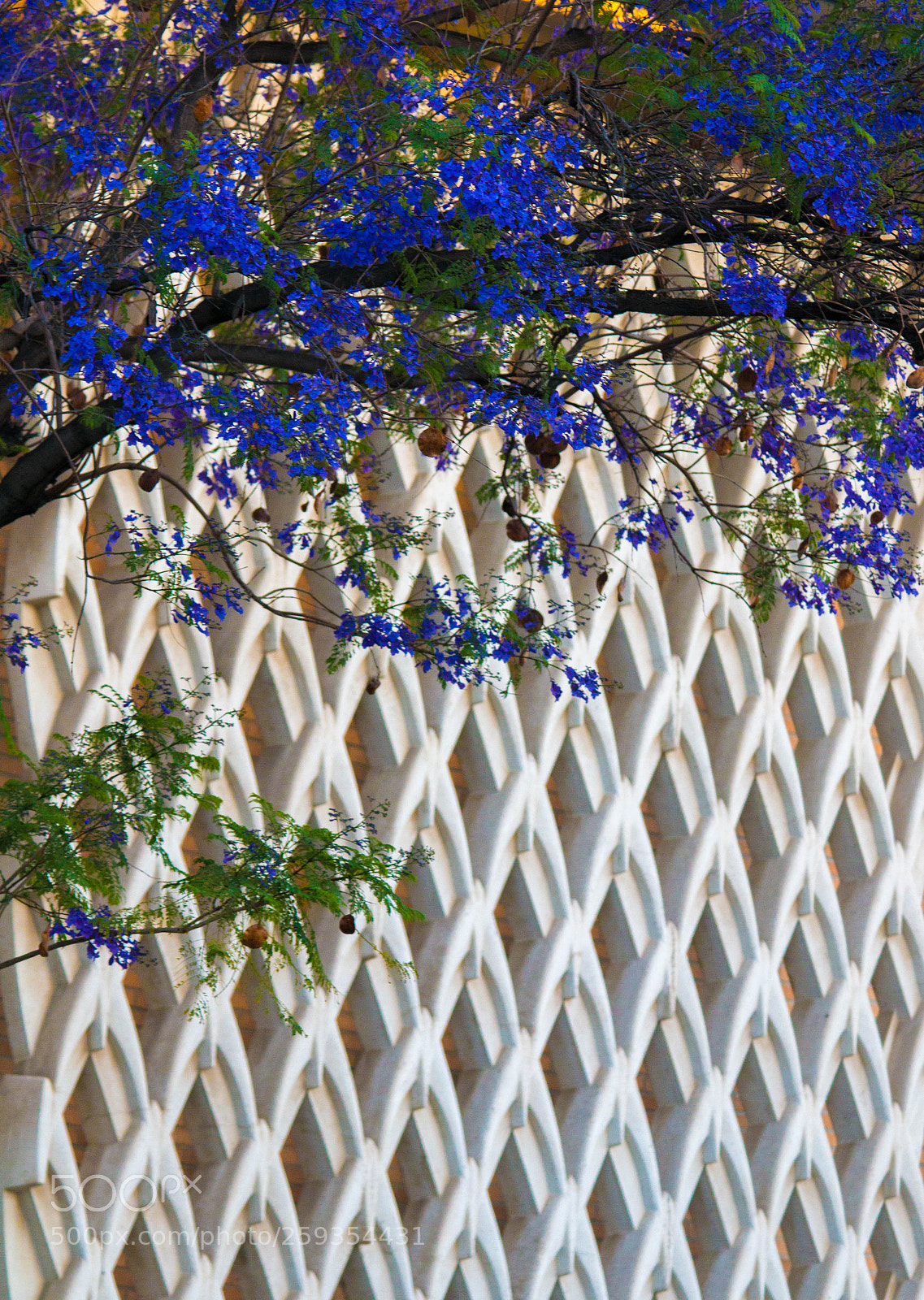 Canon EOS 70D sample photo. Looking to be photography