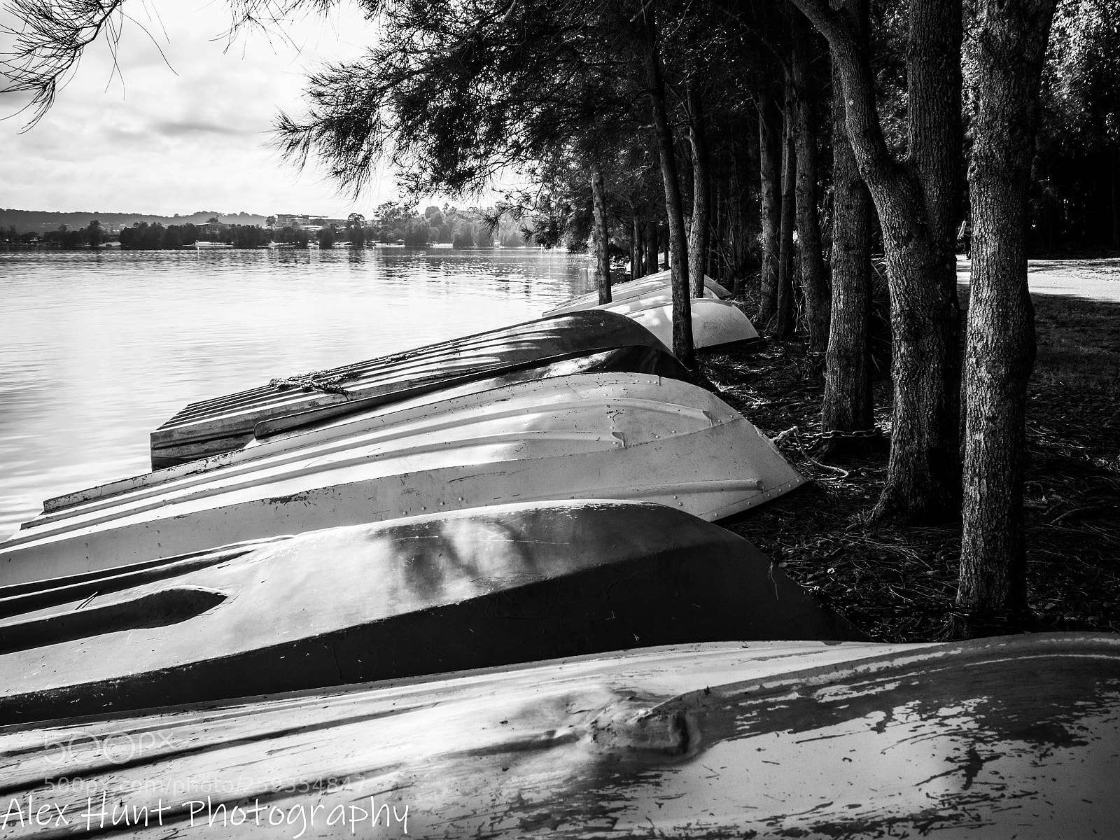 Olympus OM-D E-M10 II sample photo. Boats and trees photography