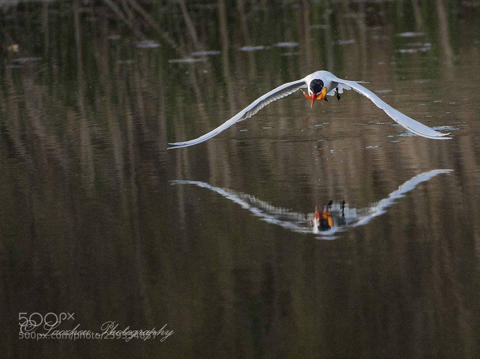 Nikon D5 sample photo. Fishing 2 photography