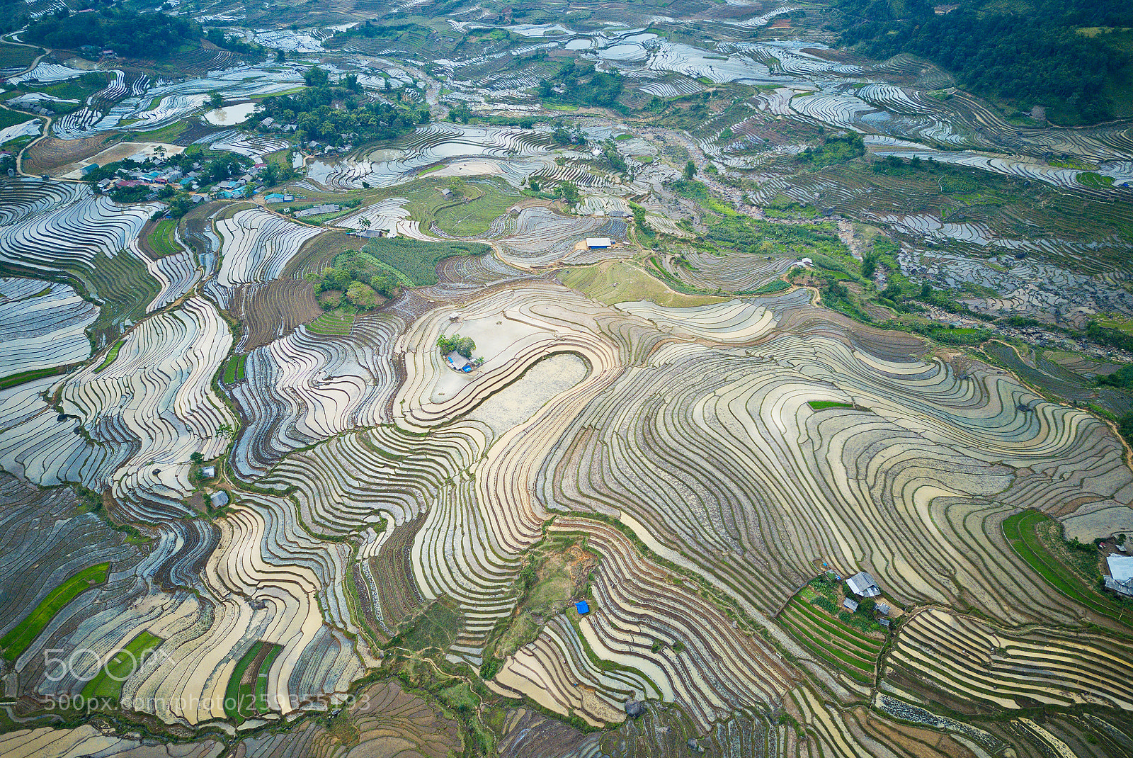 DJI FC220 sample photo. Wonderful terraces in irrigation photography