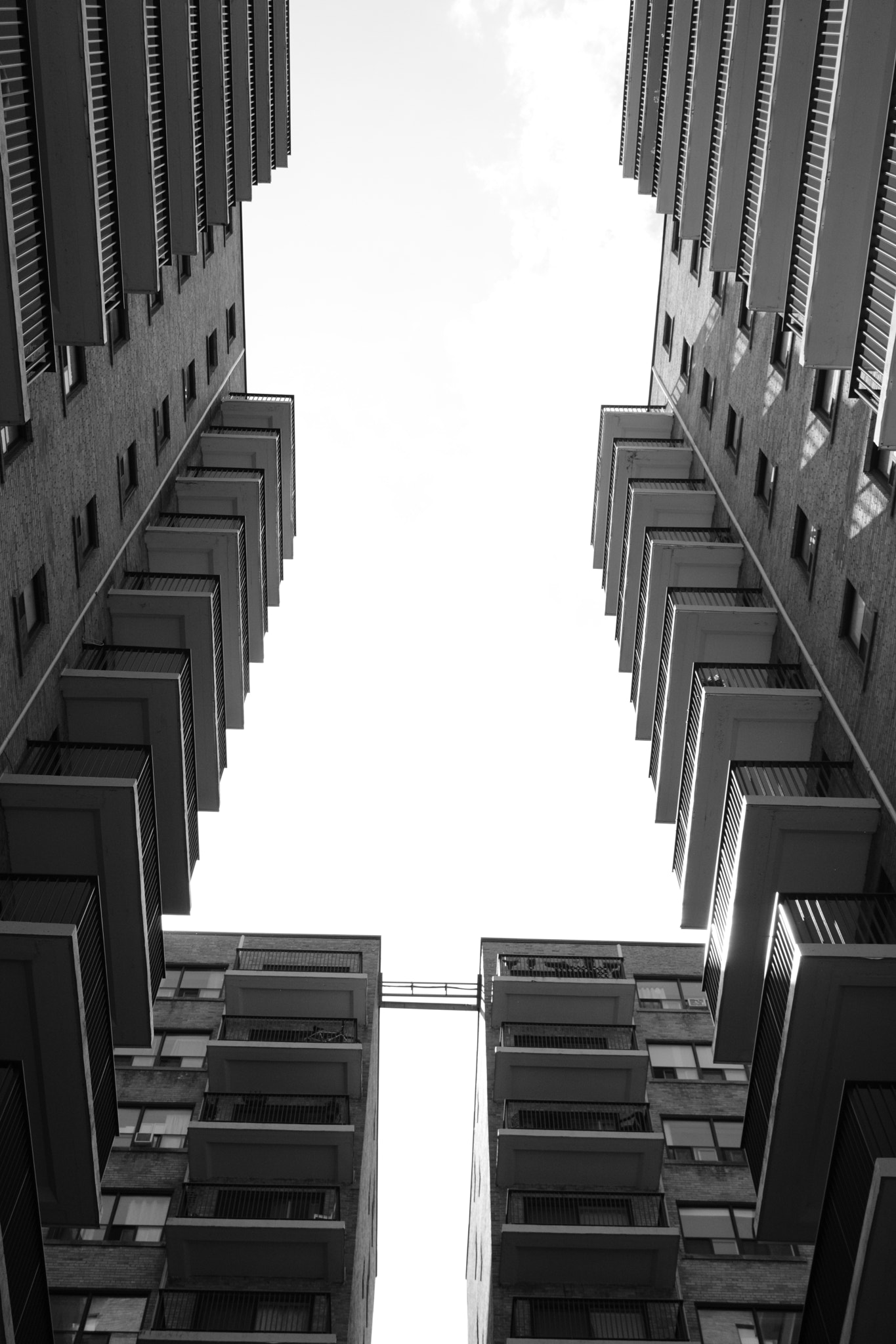 Canon EF-S 24mm F2.8 STM sample photo. Look up #1 photography