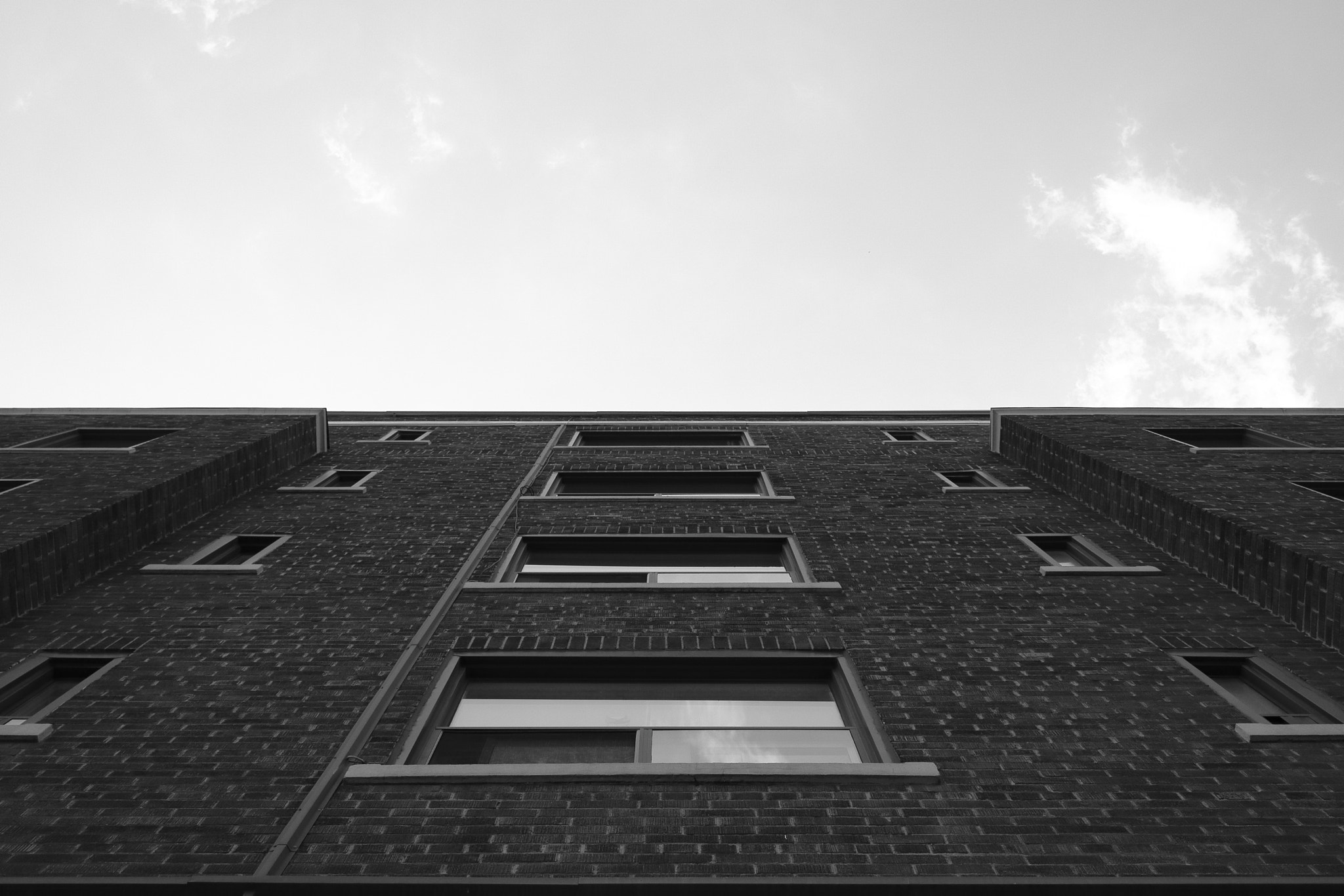 Canon EF-S 24mm F2.8 STM sample photo. Look up #3 photography