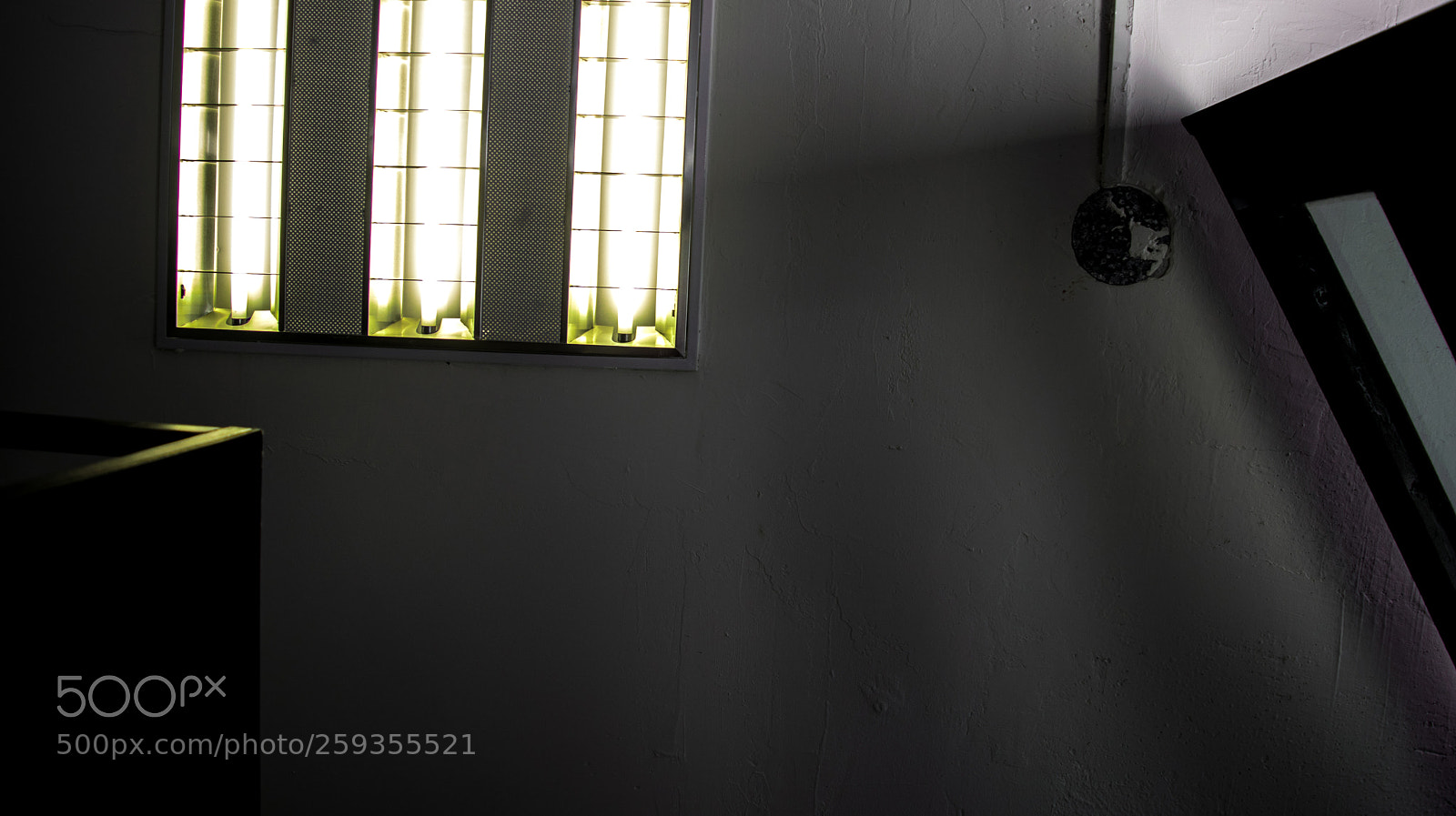 Nikon D3300 sample photo. Gods away on business photography