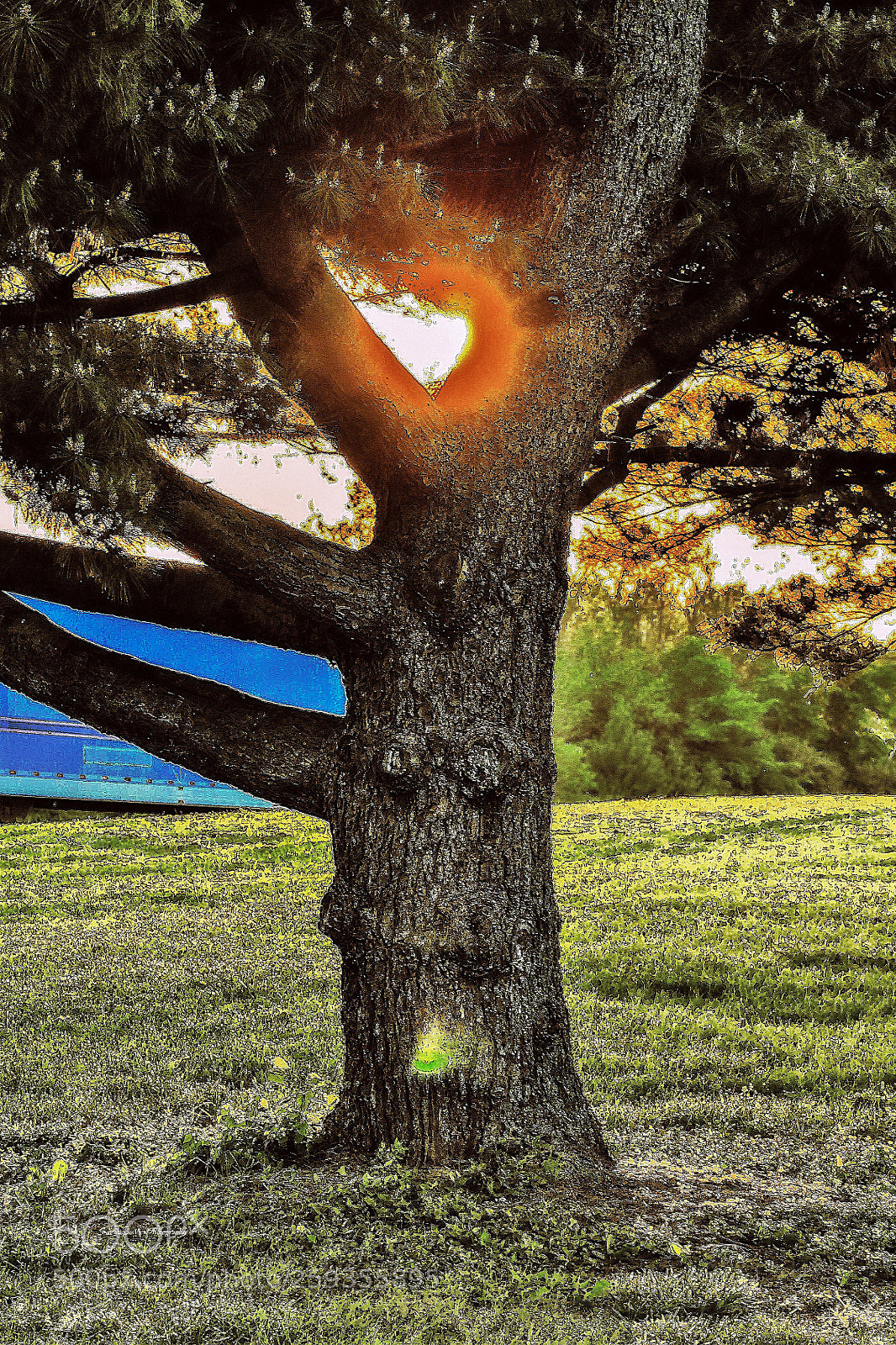 Canon EOS 1100D (EOS Rebel T3 / EOS Kiss X50) sample photo. Happy tree photography