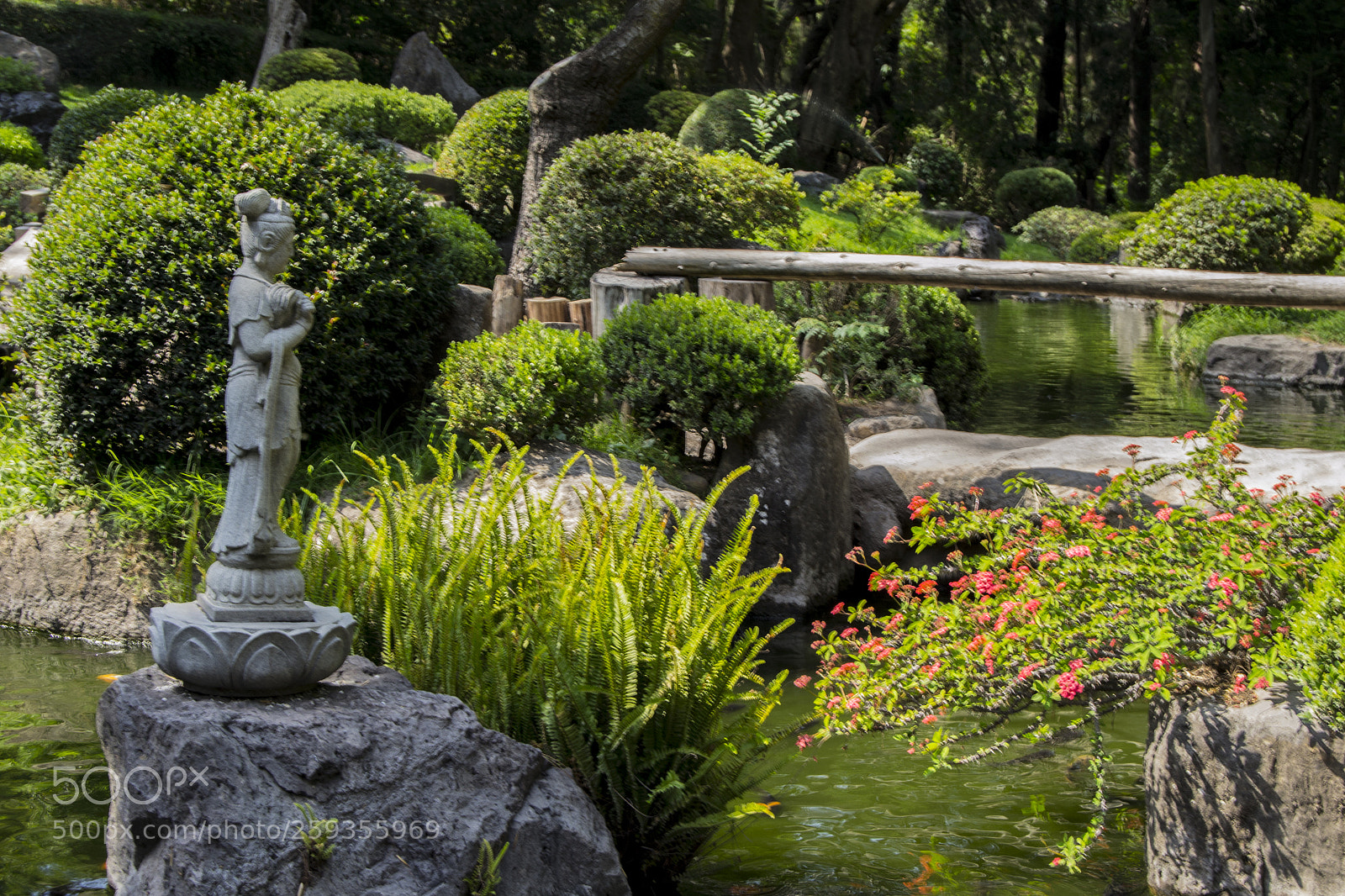Nikon D3100 sample photo. Parque colomos photography